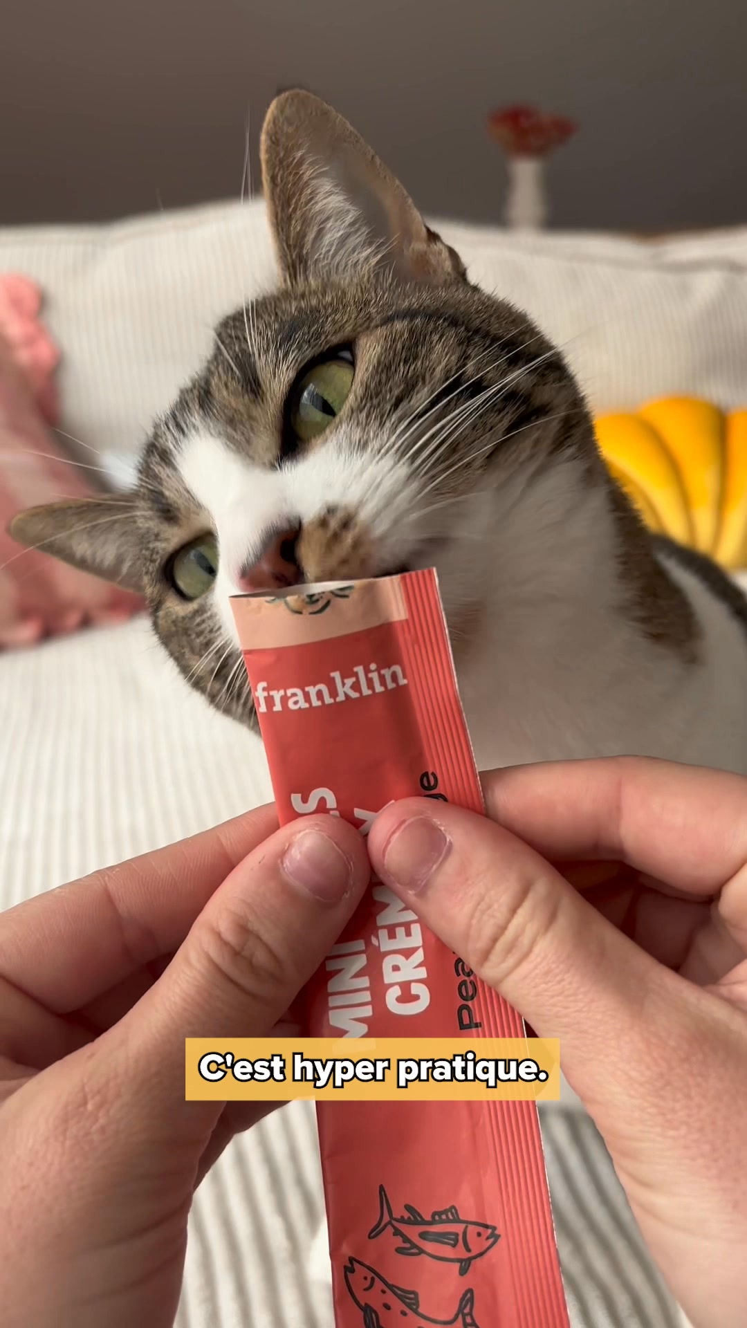 Franklin Pet Food Facebook ad: Nouvelle gamme de friandises!