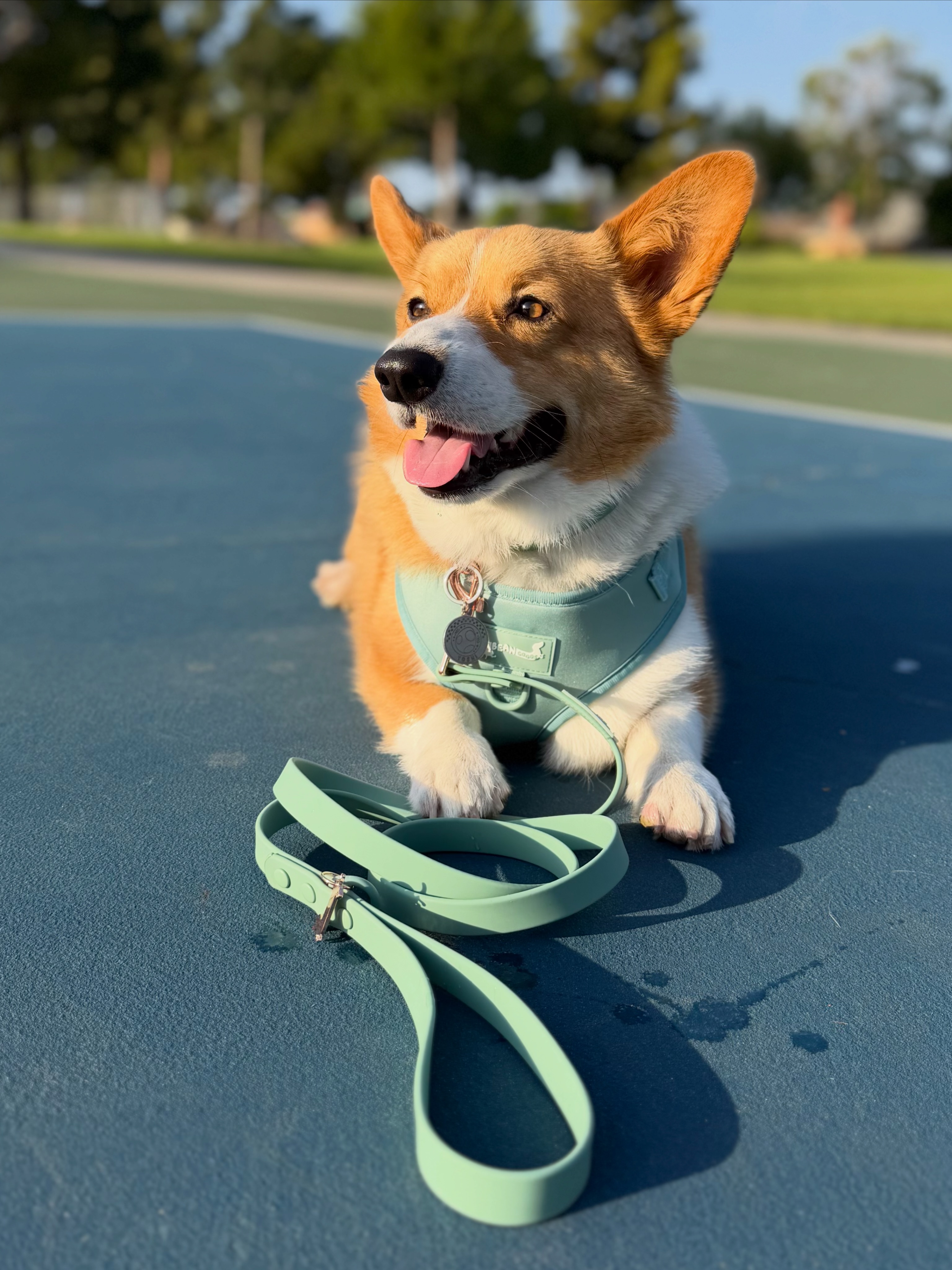 yoshi.snaps Facebook ad