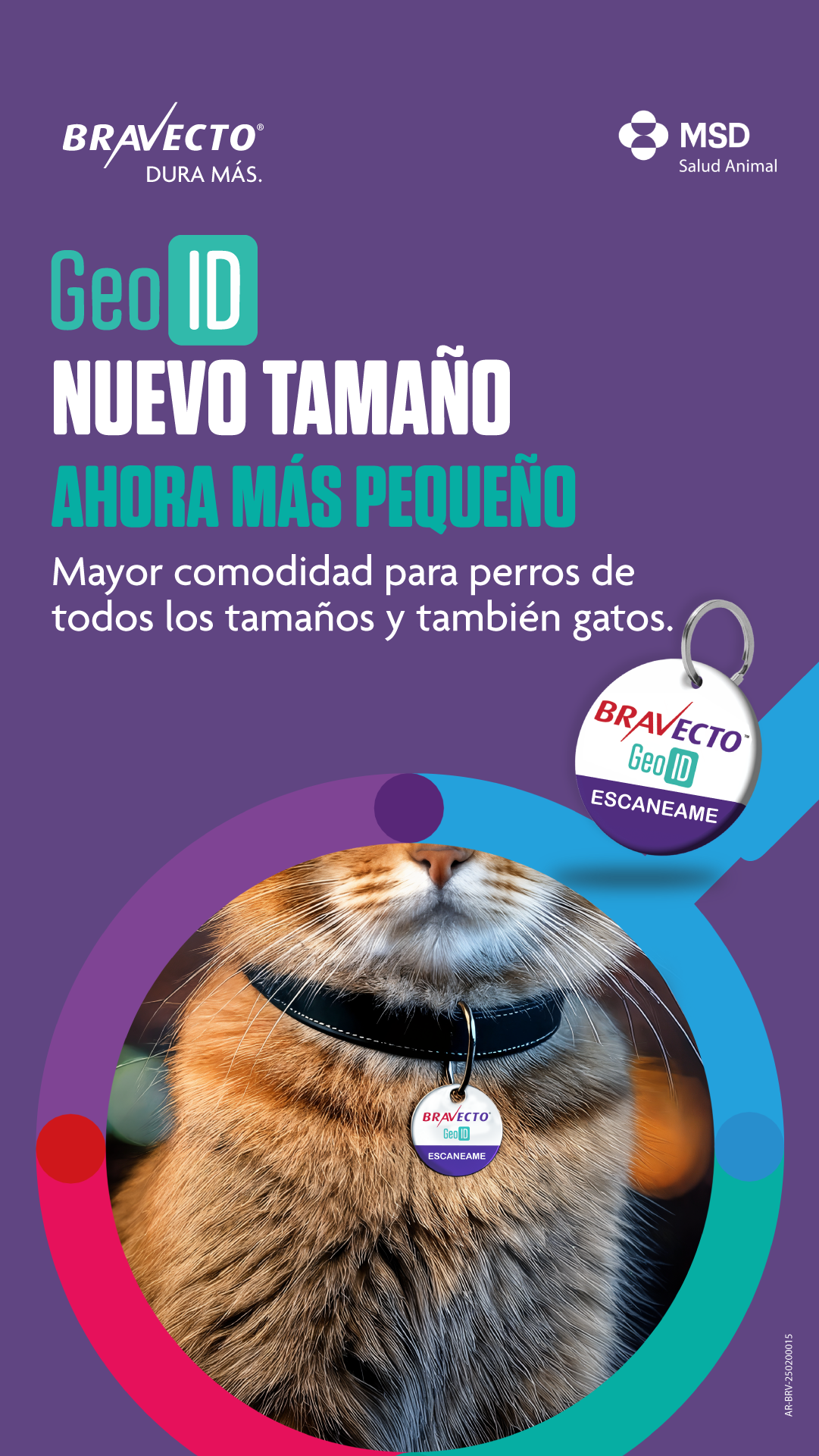 Mascotas Sanas y Divertidas Facebook ad