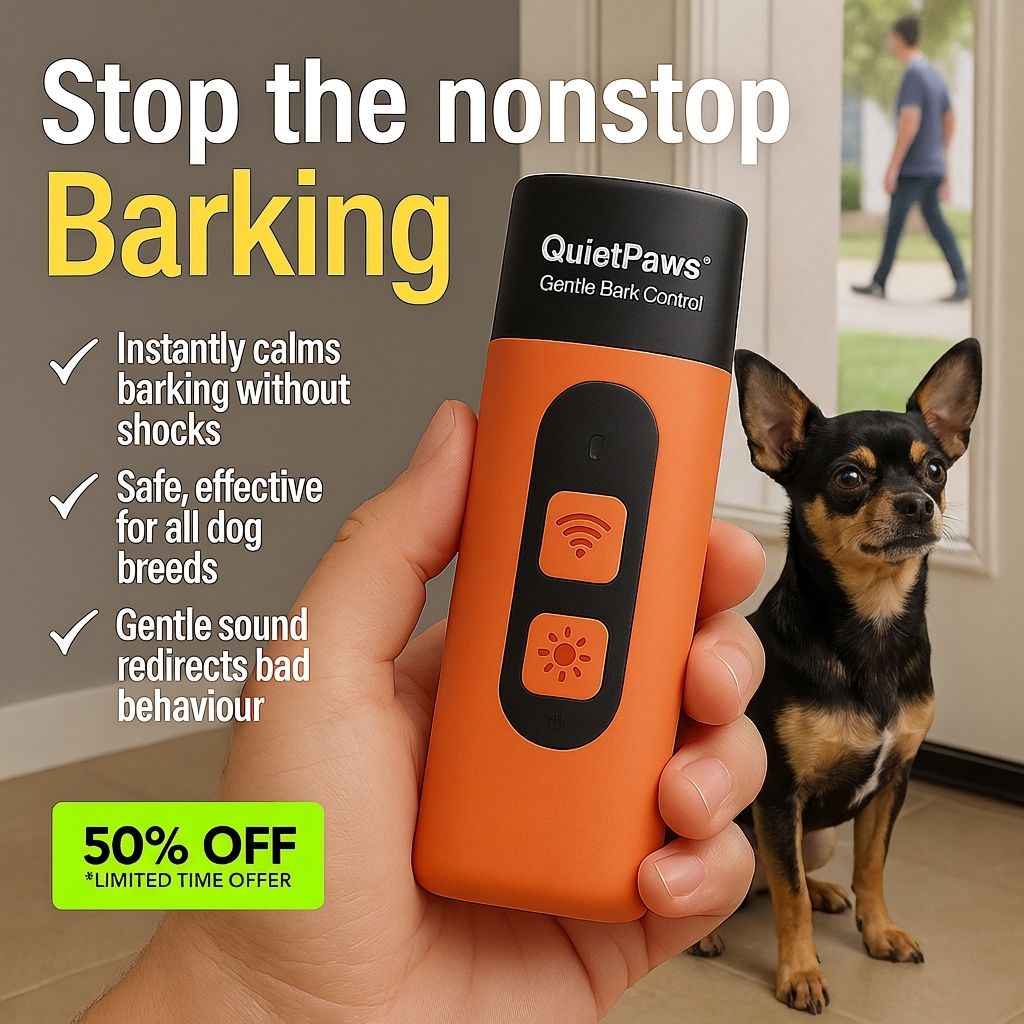 Hunters Doggy Daycare Facebook ad