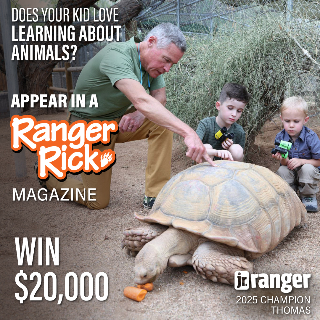 National Wildlife Federation Facebook ad: Is Your Child the Next Jr. Ranger?