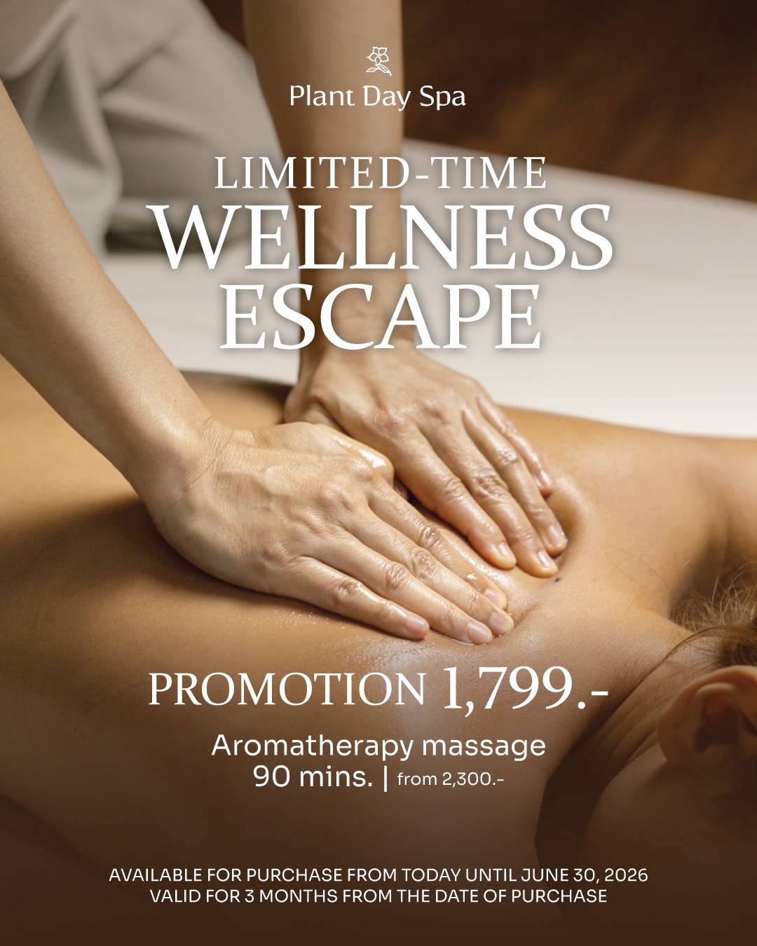Plant Day Spa  Facebook ad