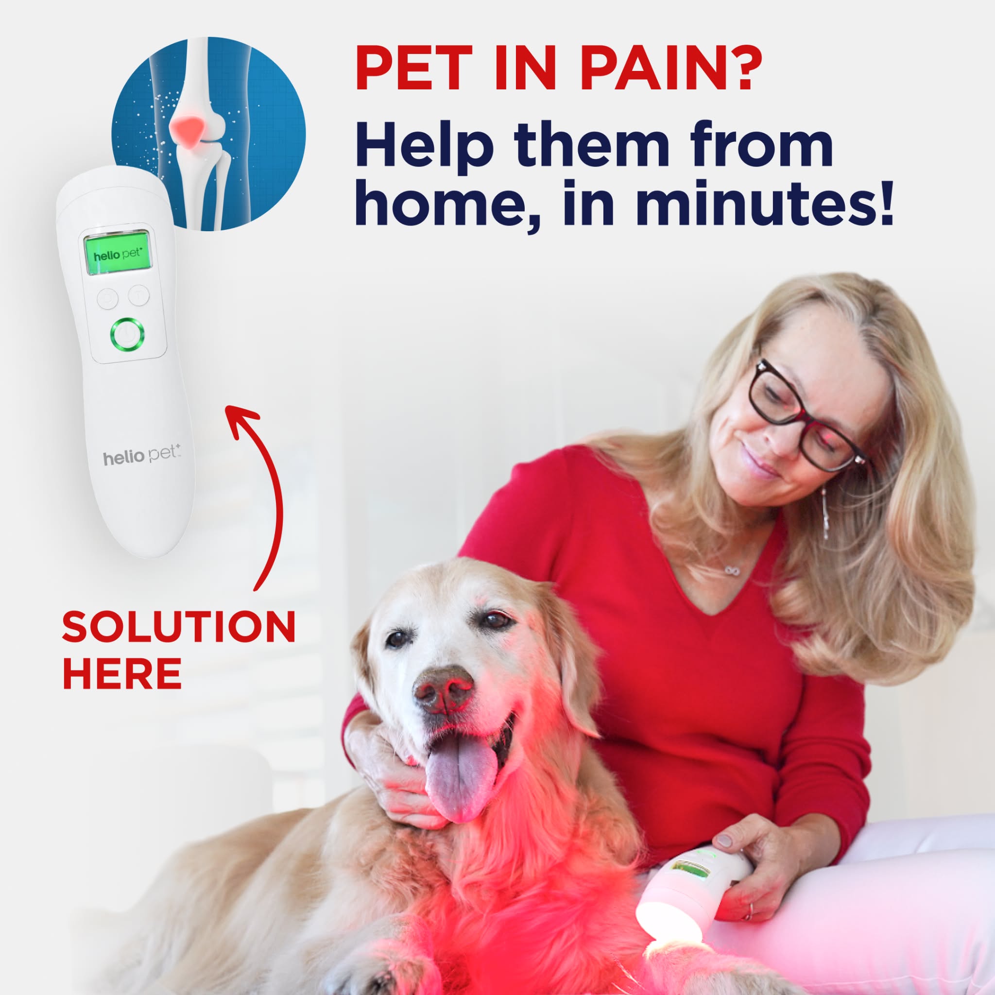 Helio Pet Facebook ad