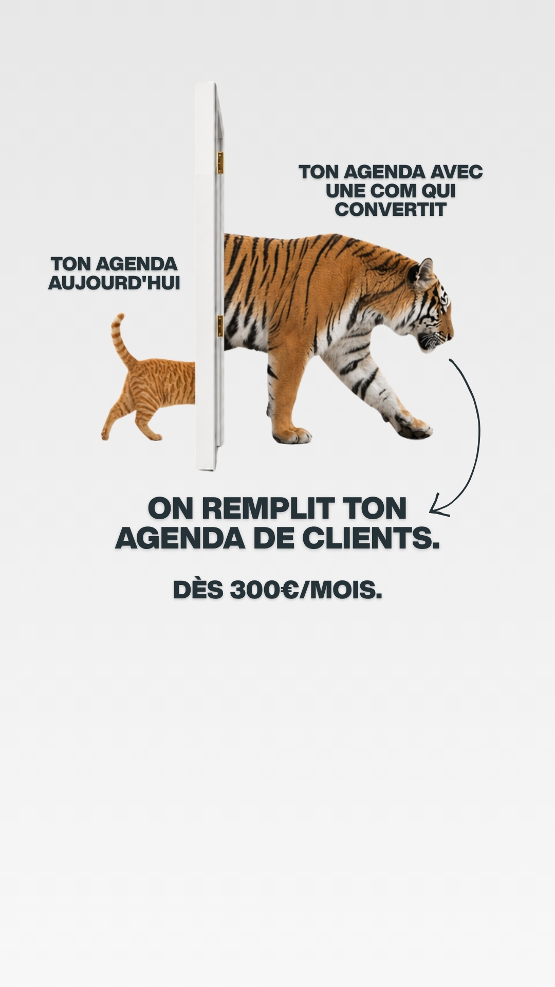 Oviga Facebook ad from Jun 5, 2026