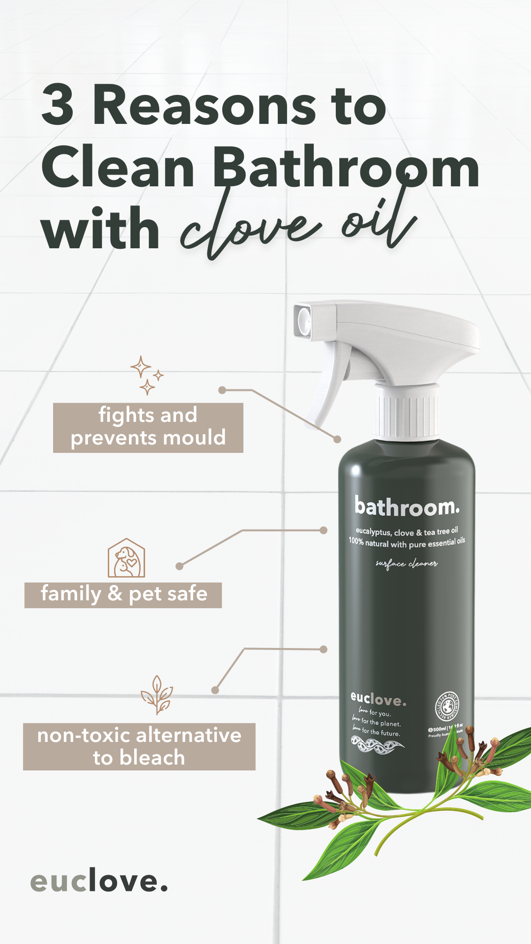 Euclove Clean Facebook ad