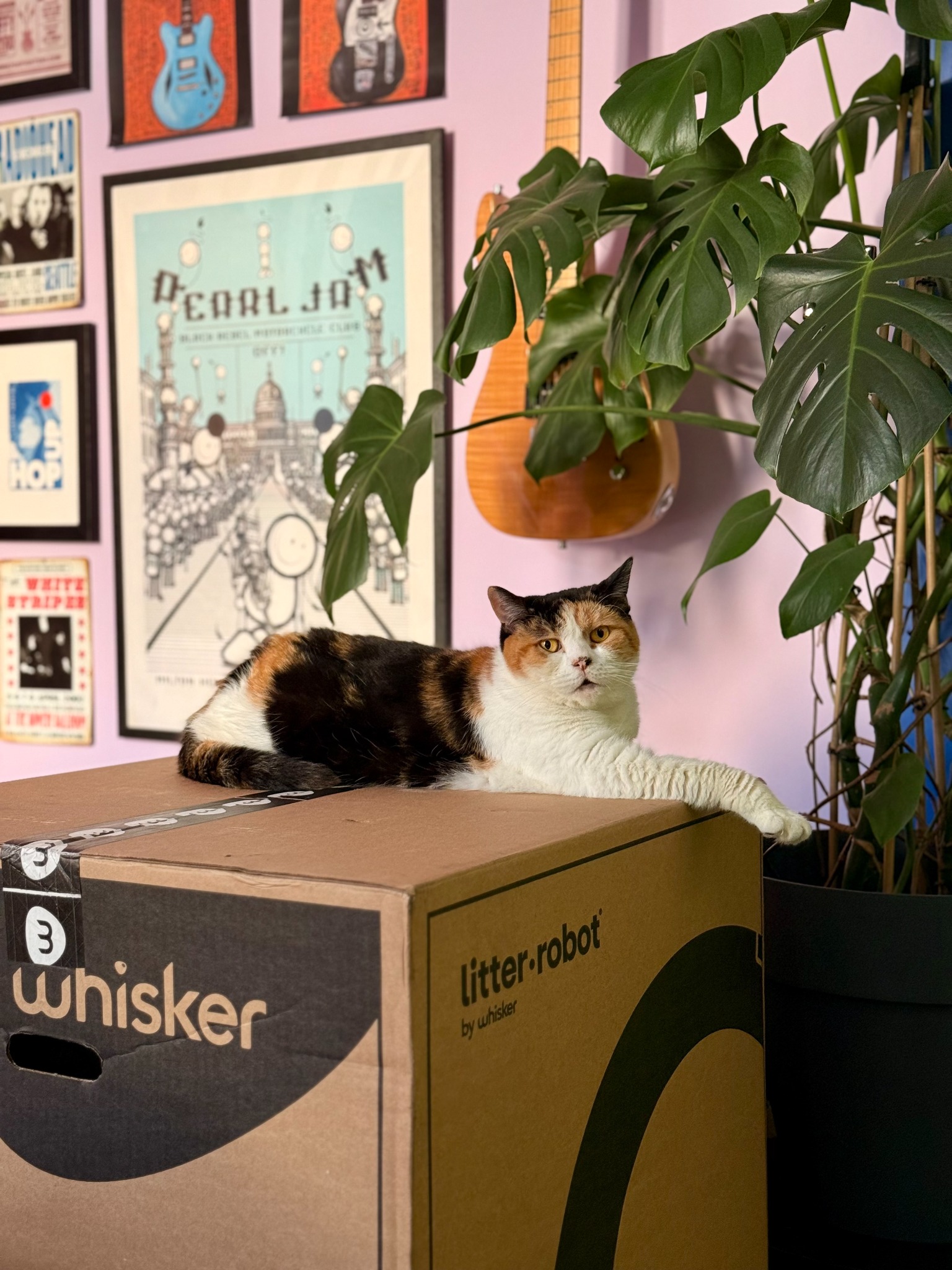 Litter-Robot by Whisker Facebook ad