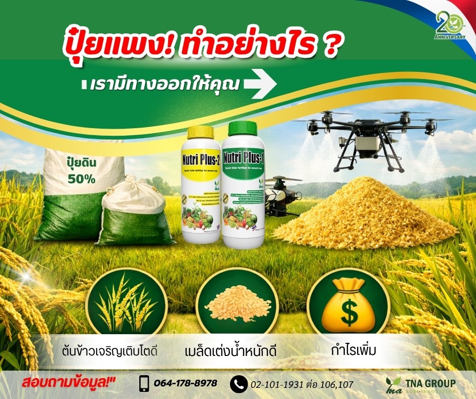 ธนา บลอซซั่ม TNA GROUP Facebook ad: ธนา บลอซซั่ม (TNA Group)