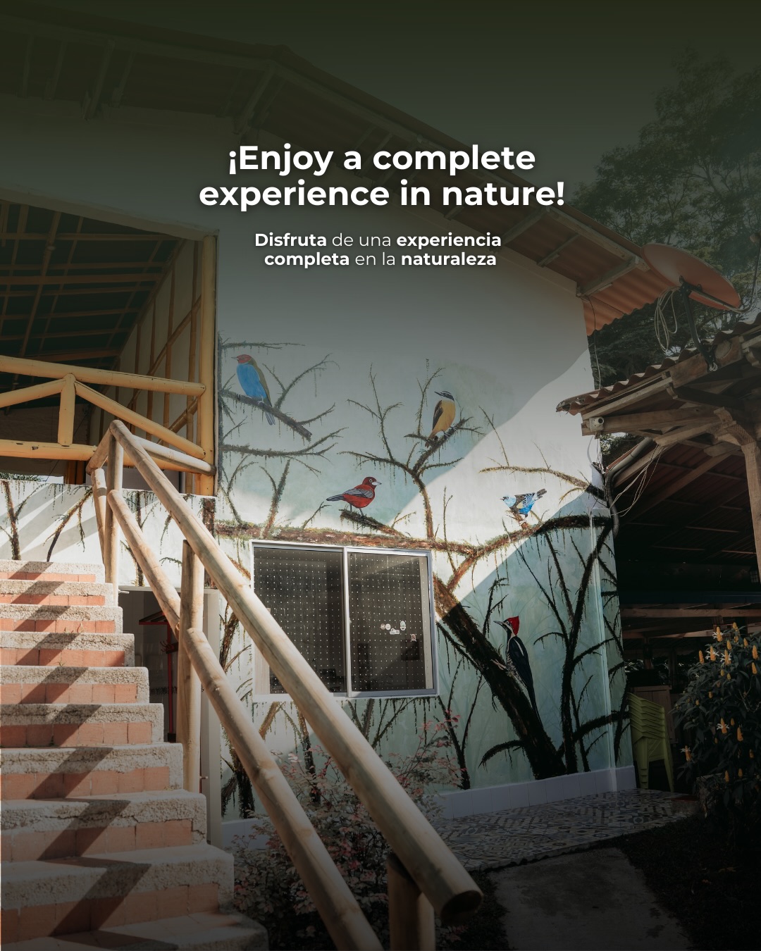 Tinamú Birding and Nature Lodge Facebook ad: Every corner of our reserve holds a different…
