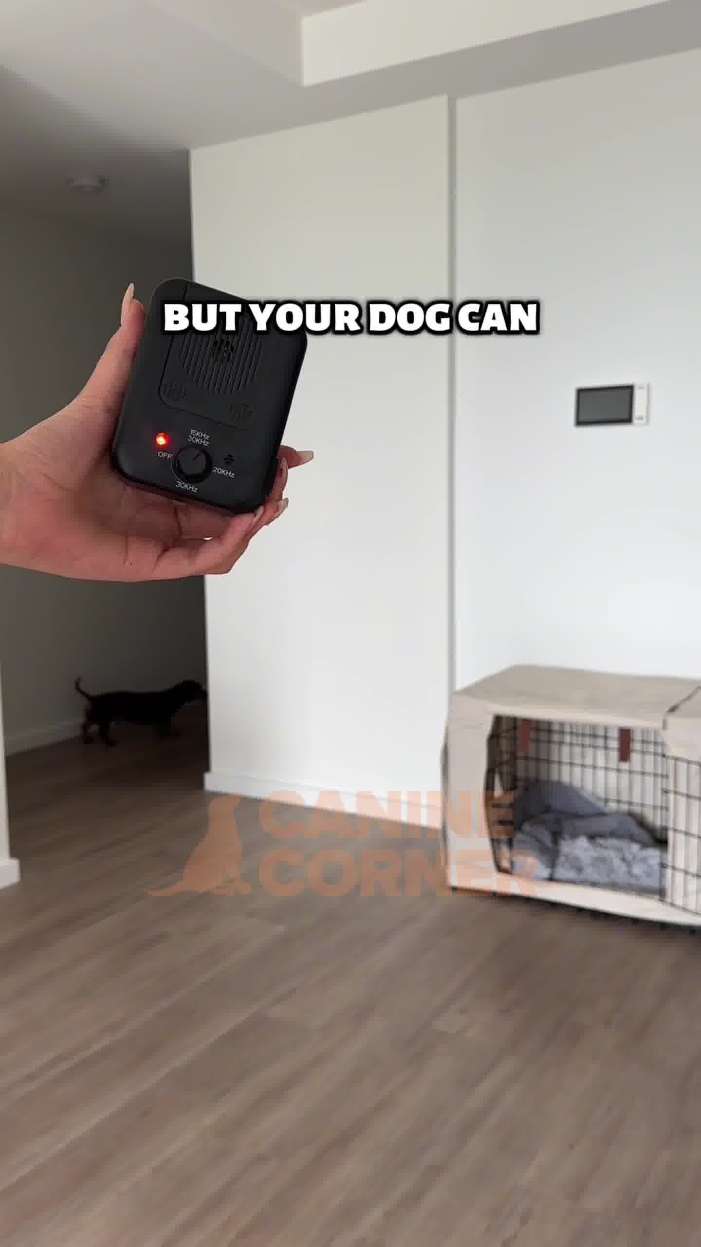 Canine Corner Australia Facebook ad: Automatic Bark Control Solution