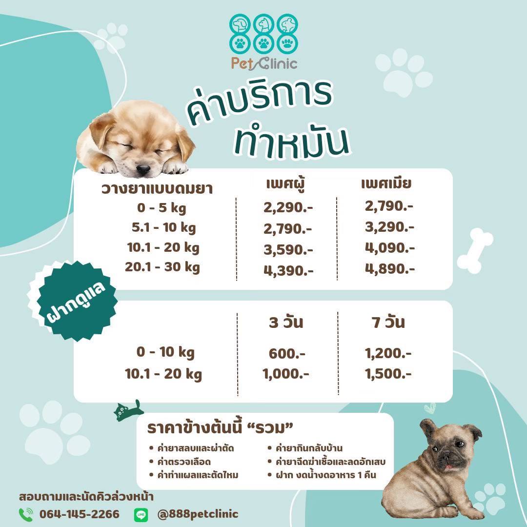 888 Pet Clinic Facebook ad