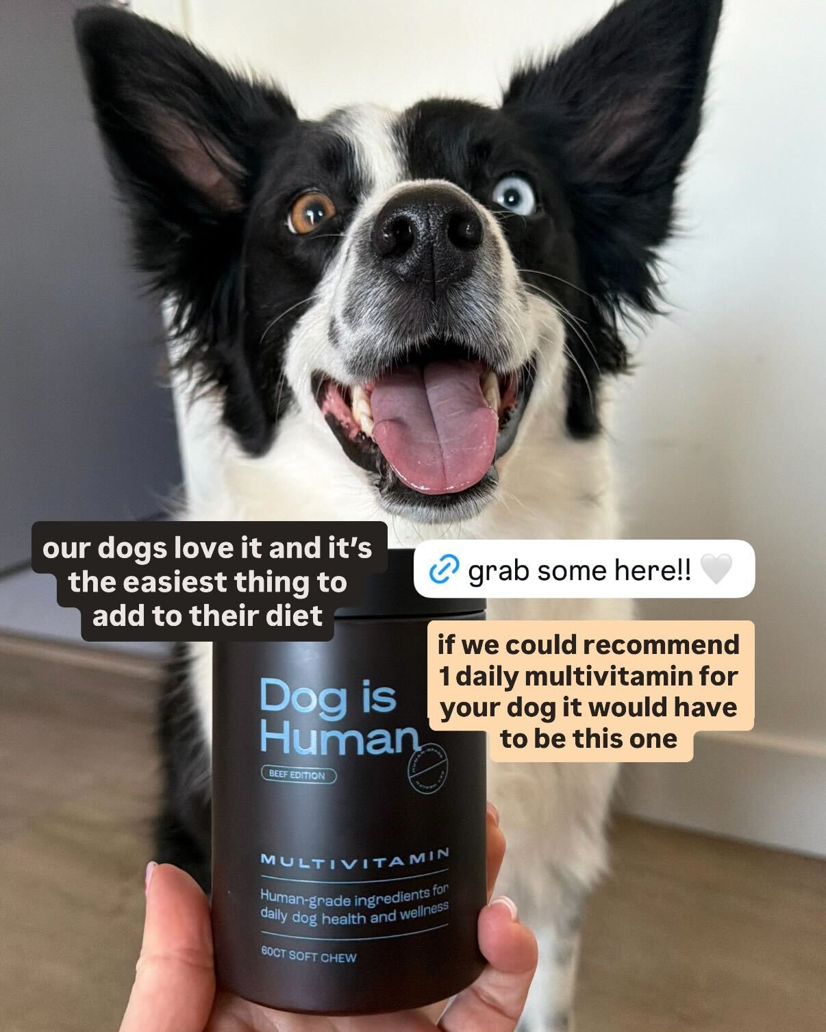 Dog is Human Facebook ad