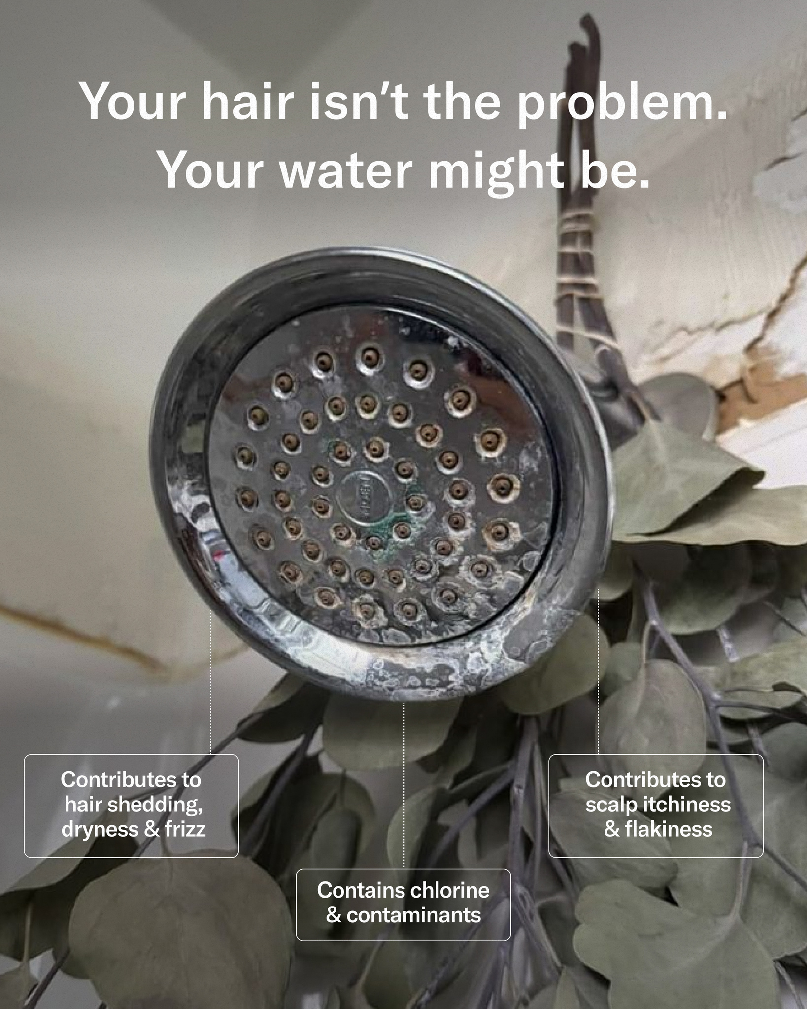 Jolie Facebook ad: Everyone Needs A Shower Filter To Ensure Clean Water