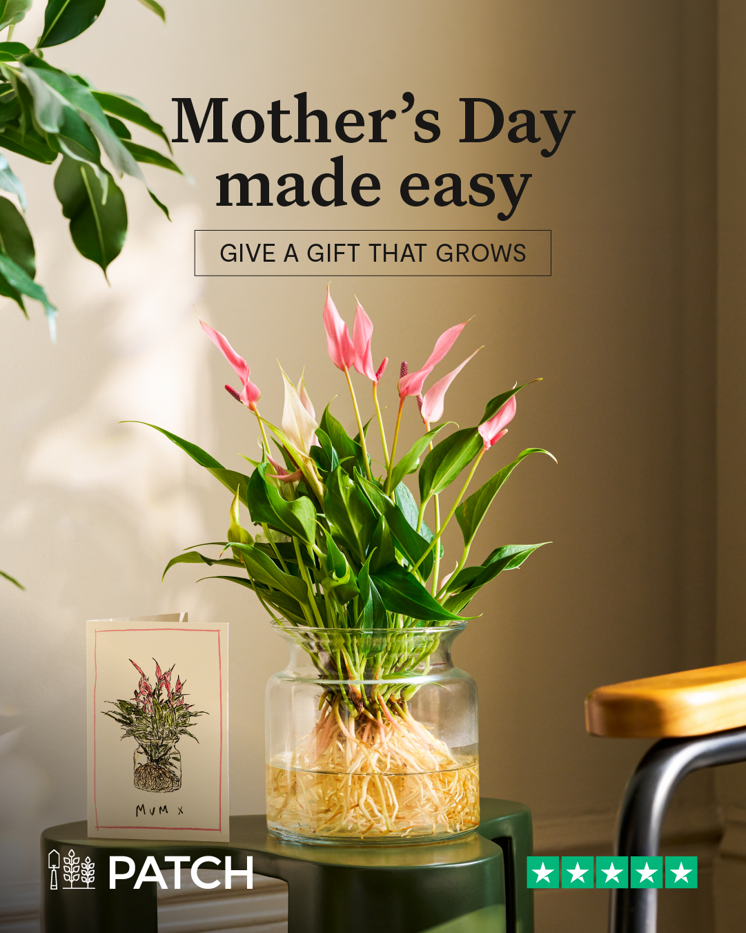 Patch plants Facebook ad