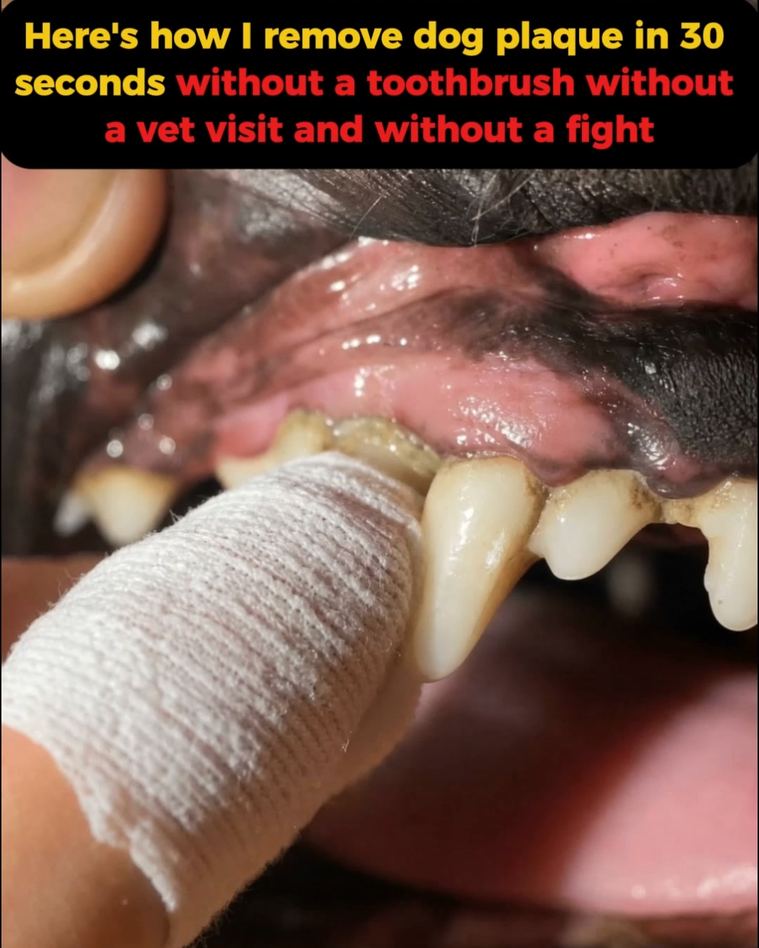 VetPets Facebook ad: Finally - a dental wipe that actually works