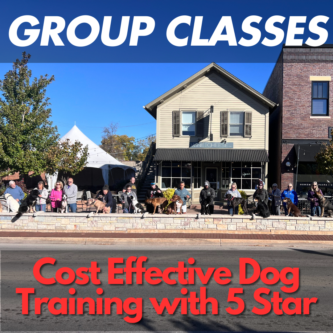 5 Star Dog Training Chicago Facebook ad: Transform Your Dog Today with Chicago’s Top-Rated Trainers!
