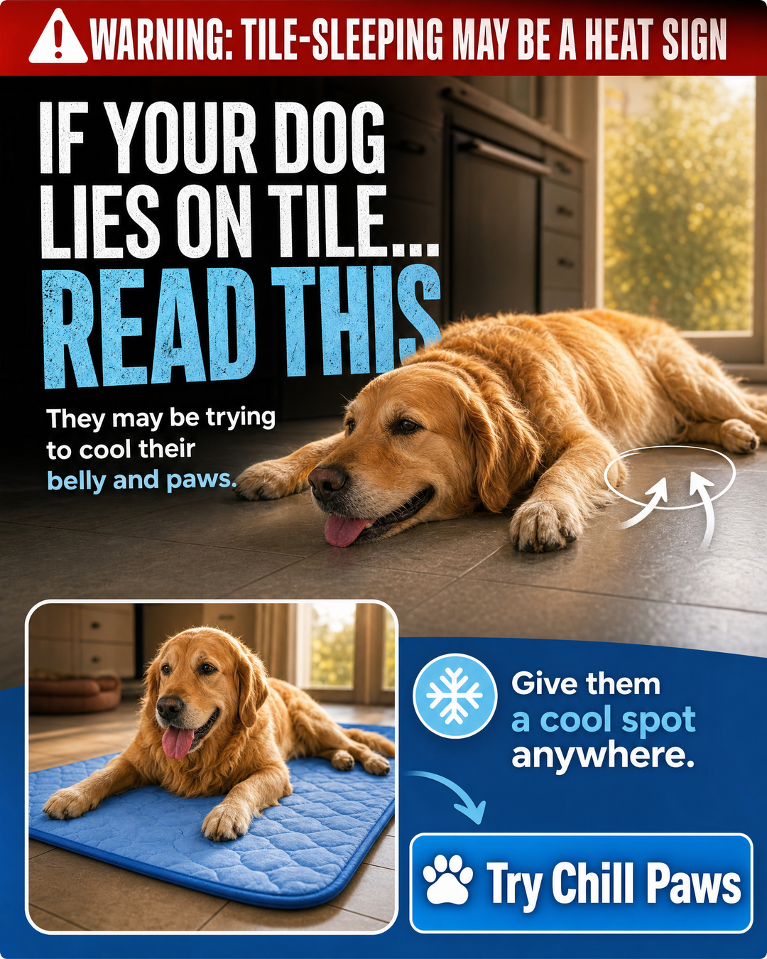 Rhykin Pet Co Facebook ad