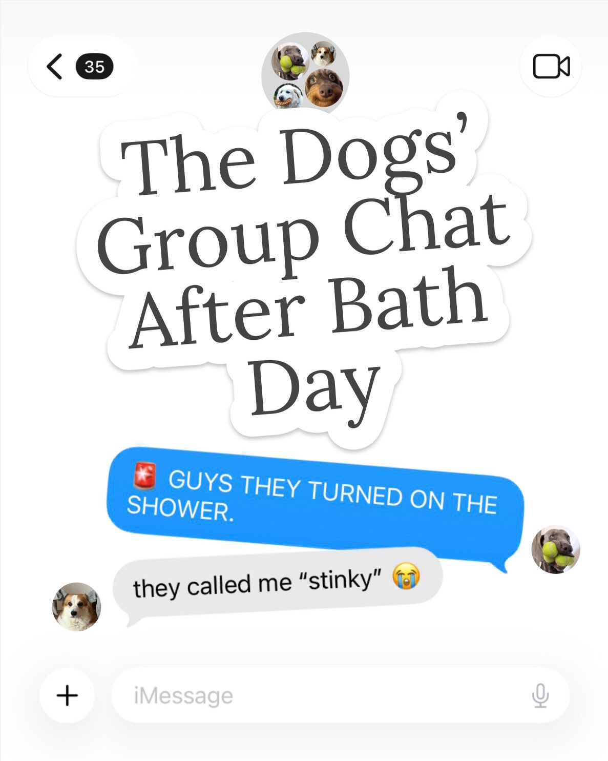 Petcube Facebook ad