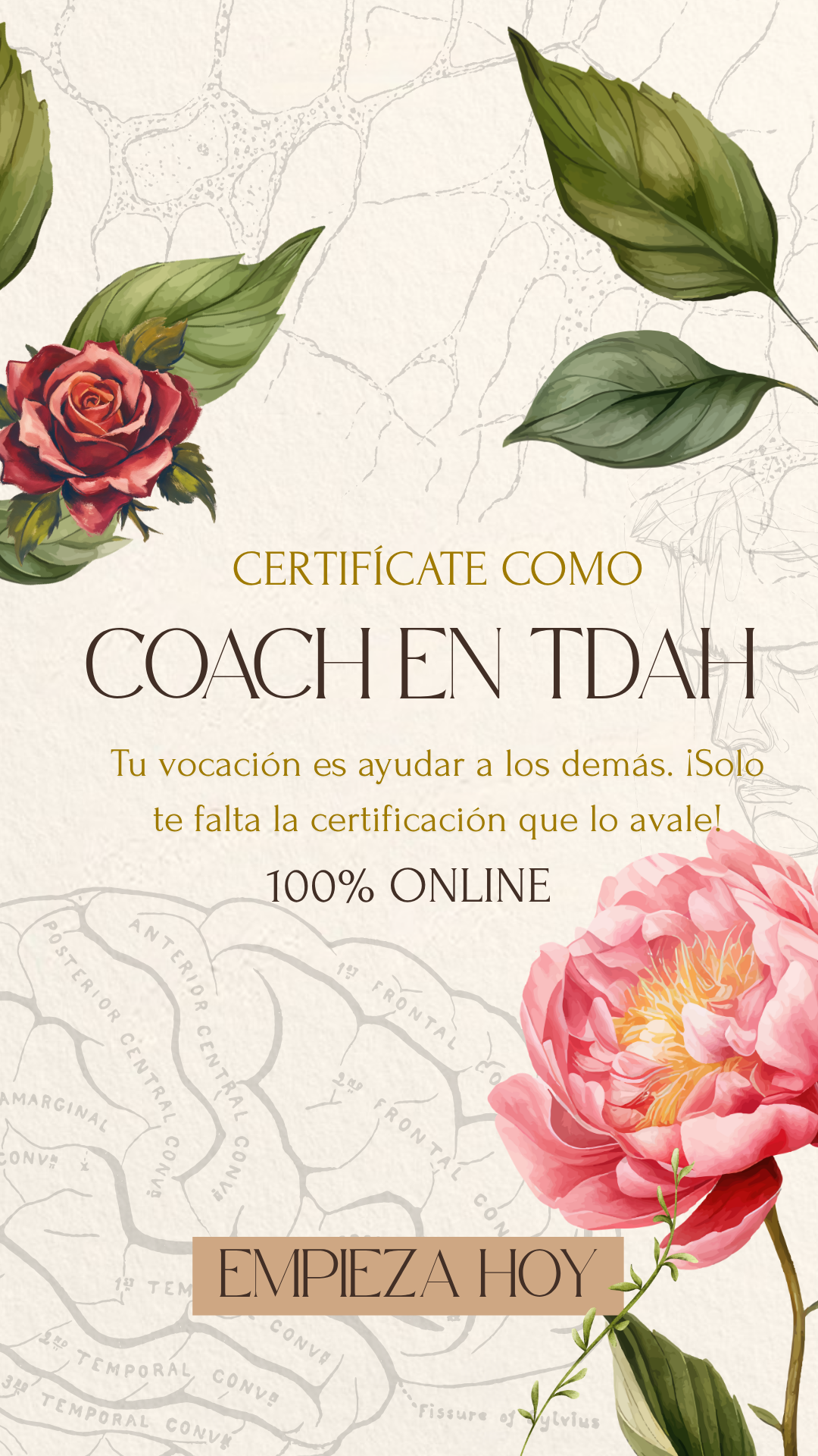 Efficient Coach Facebook ad: Conviértete en Coach de TDAH Coach Certificado