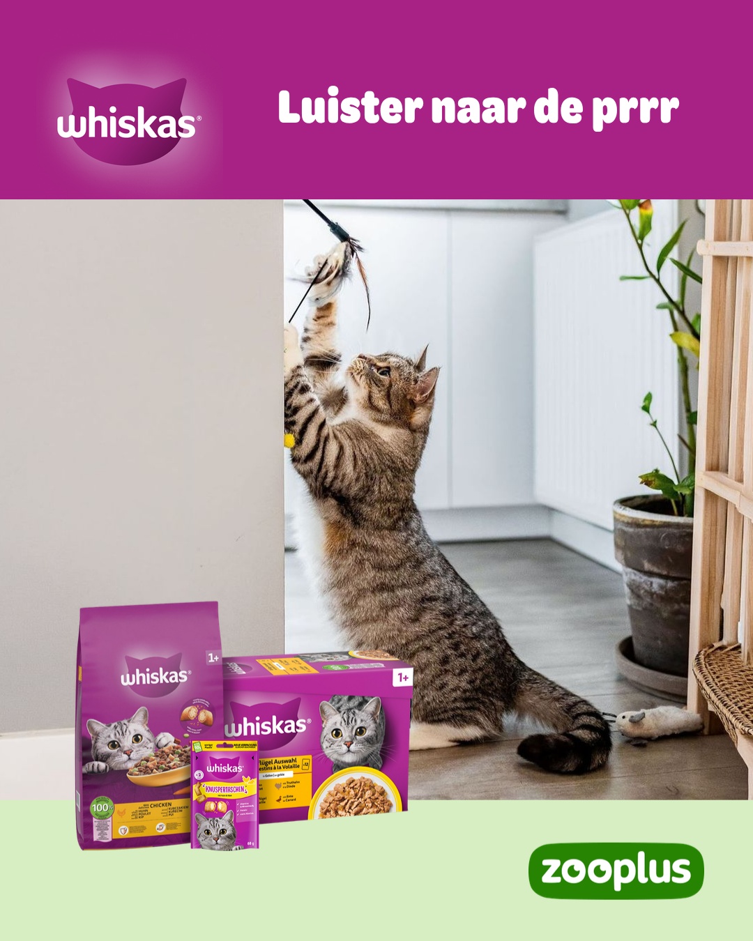 zooplus Facebook ad: WHISKAS