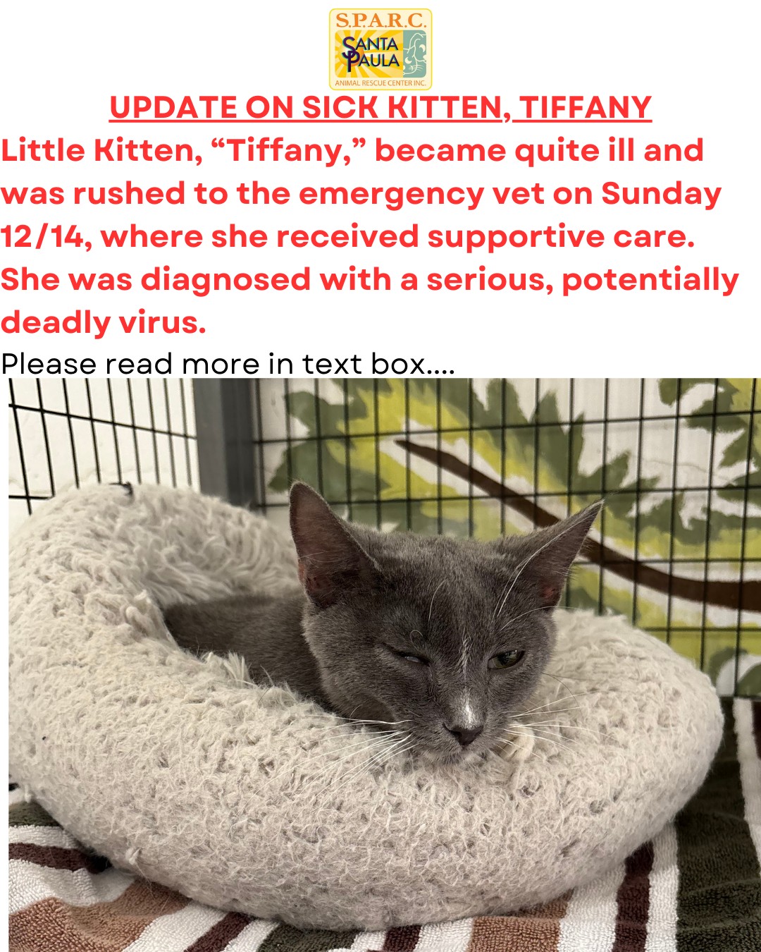 Santa Paula Animal Rescue Center Facebook ad: UPDATE FROM 12/14
