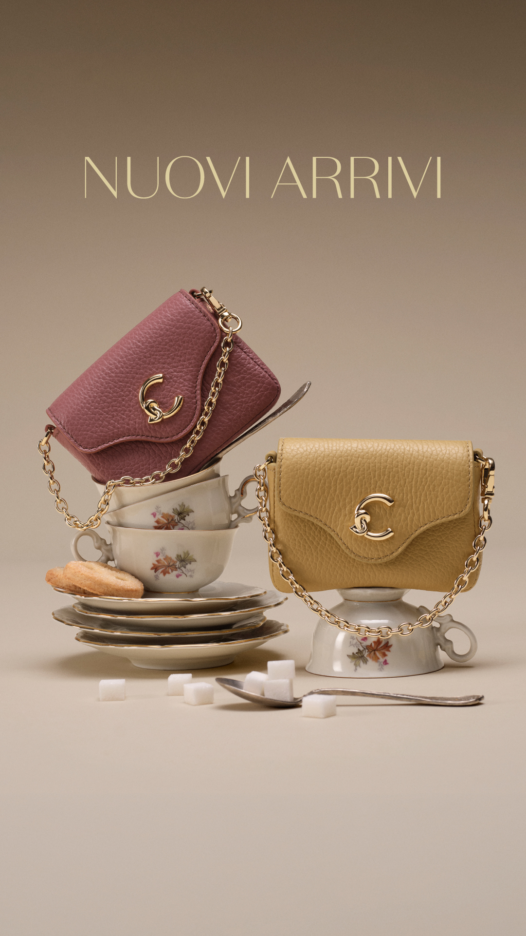 COCCINELLE Facebook ad