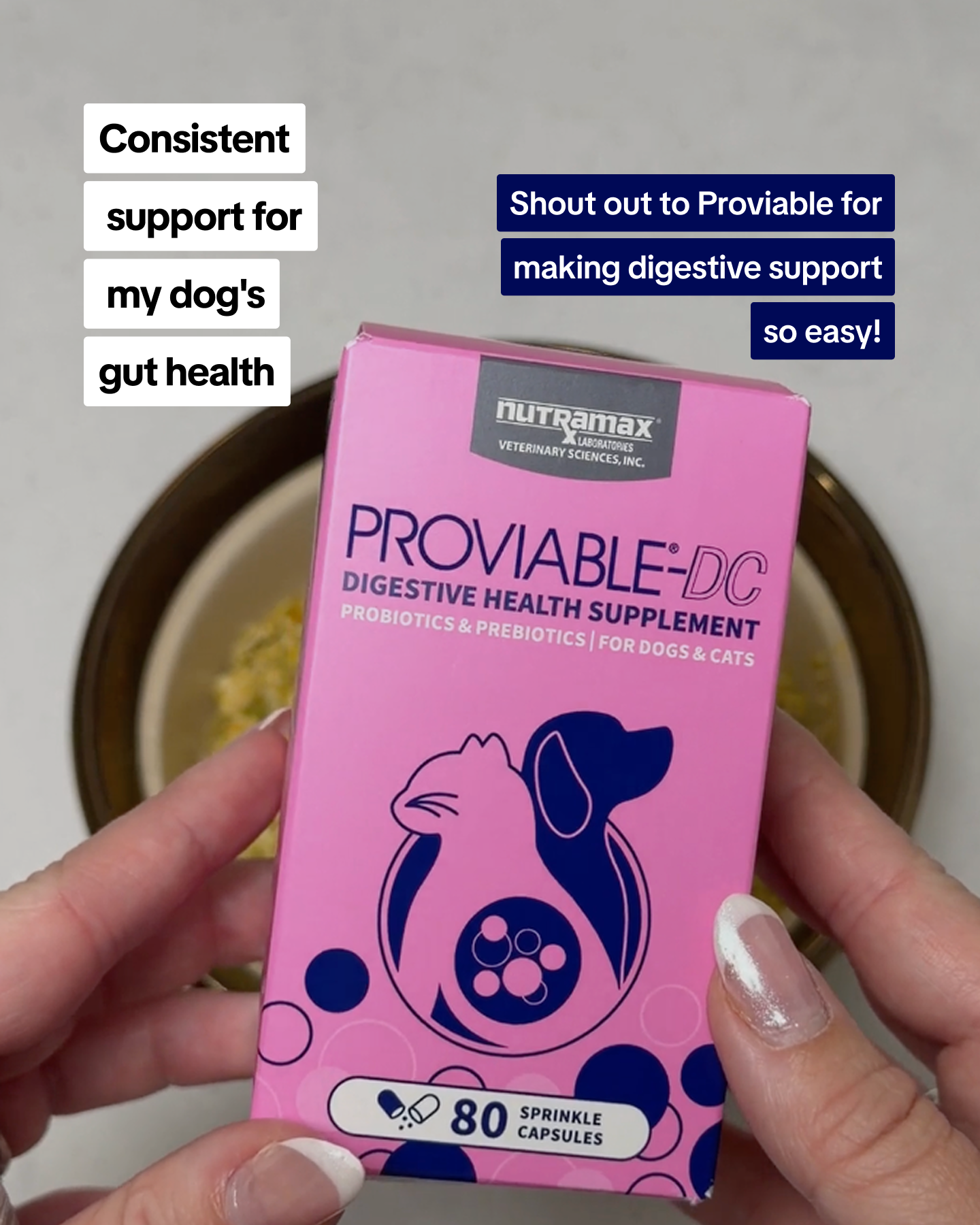 Nutramax Laboratories Facebook ad: Gut health support for your pet
