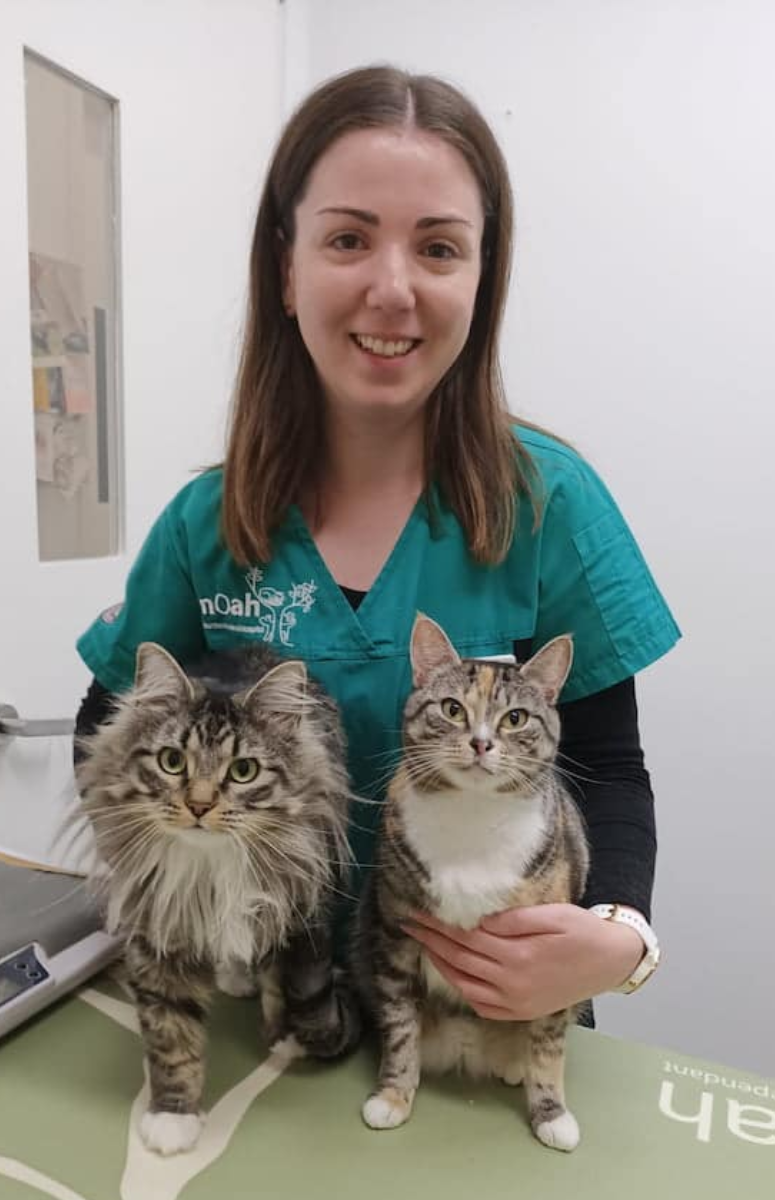 Paws & Care Vet Facebook ad