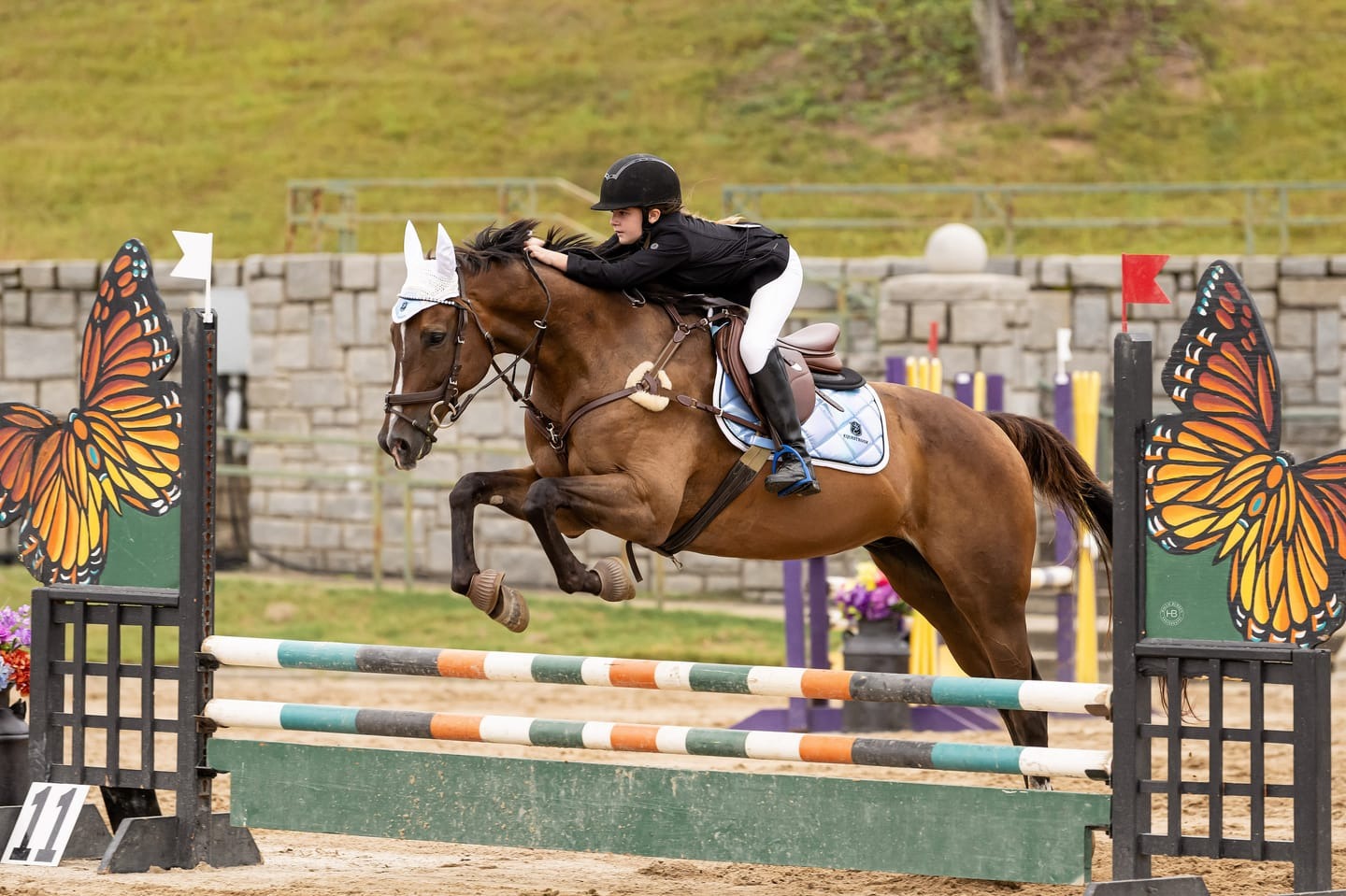 100X Equine Facebook ad