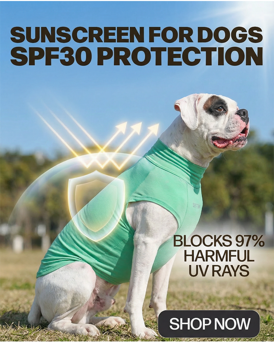 Spark Paws Facebook ad