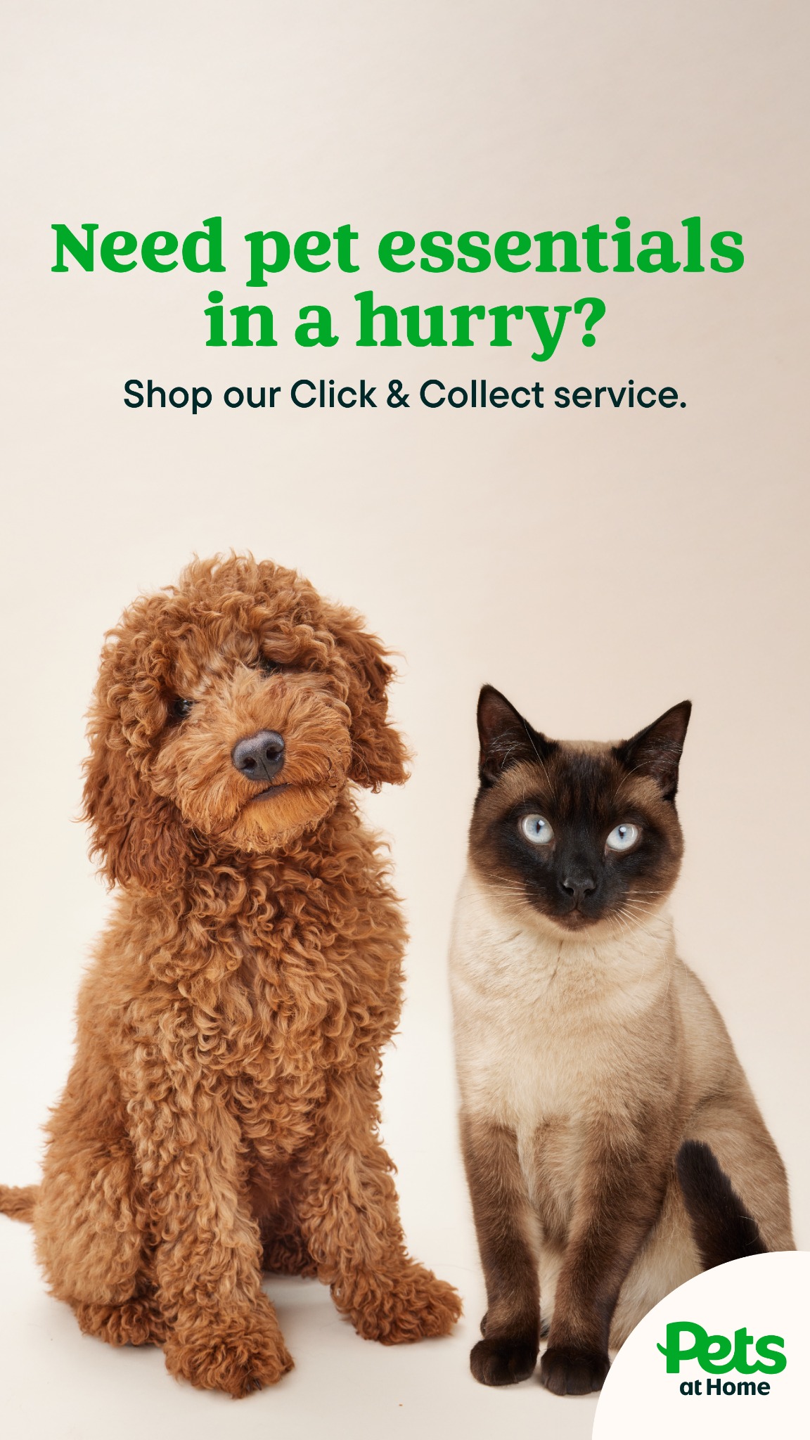 Pets UK Facebook ad from Aug 6, 2026