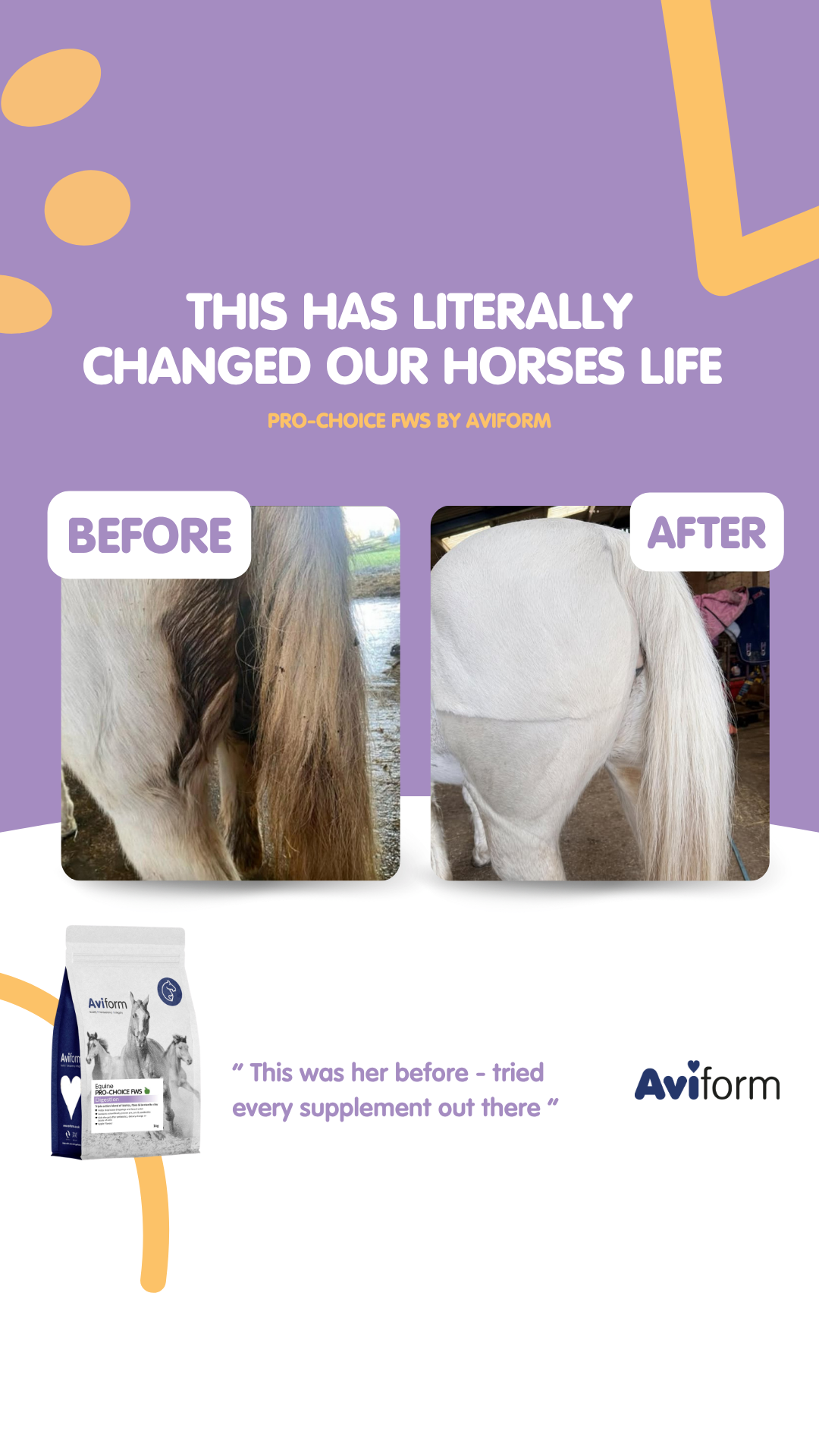 Aviform Nutrition UK - Horse & Dog Facebook ad