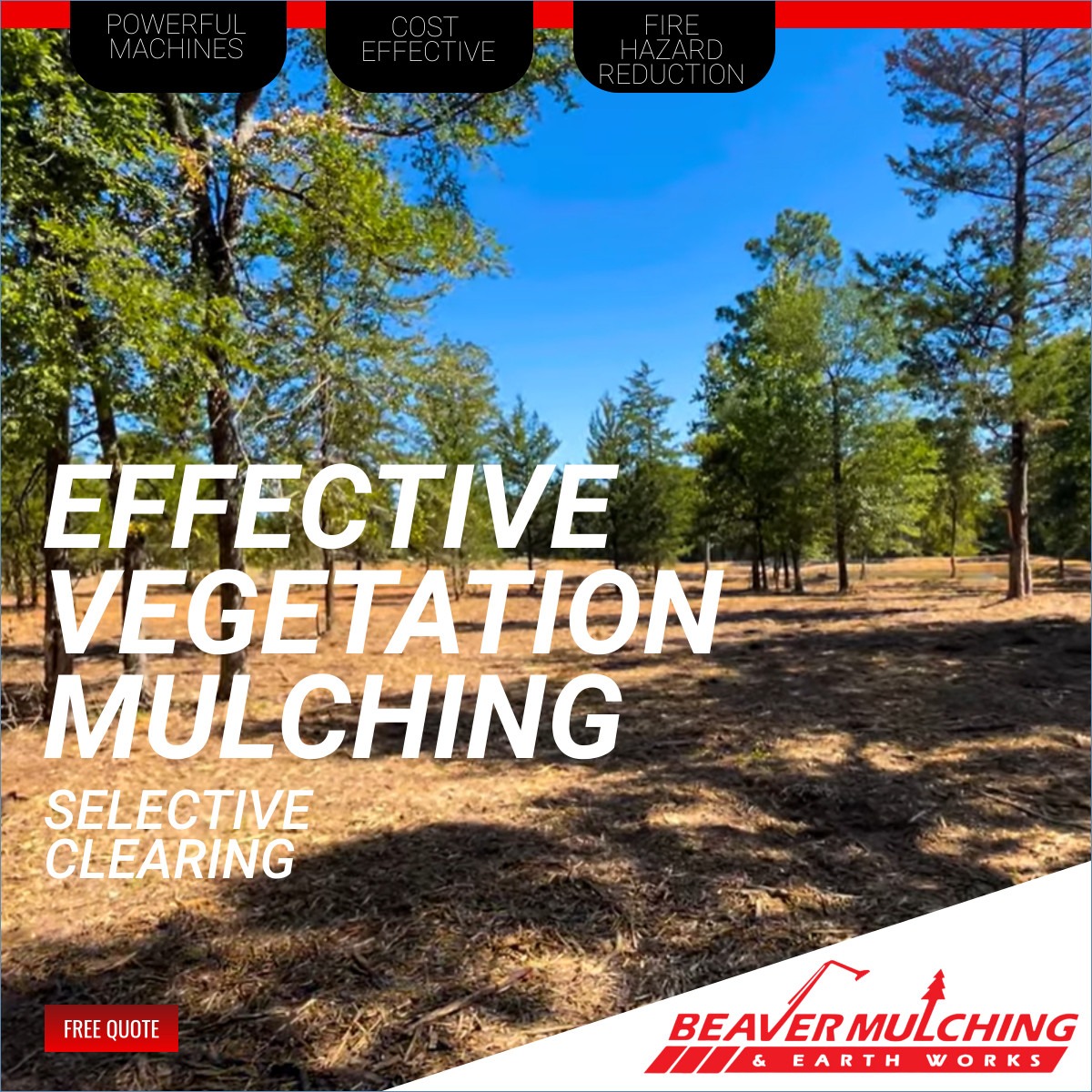 Beaver Mulching Facebook ad: Sick of overgrown vegetation?
