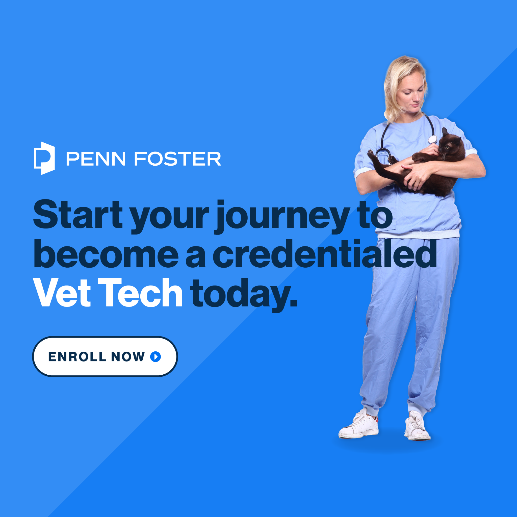 Penn Foster Facebook ad