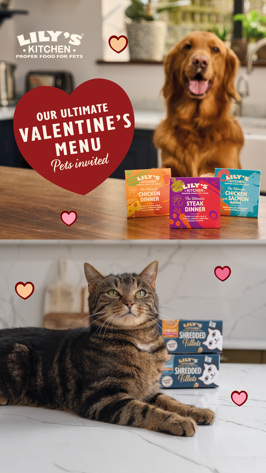 Lily's Kitchen Facebook ad