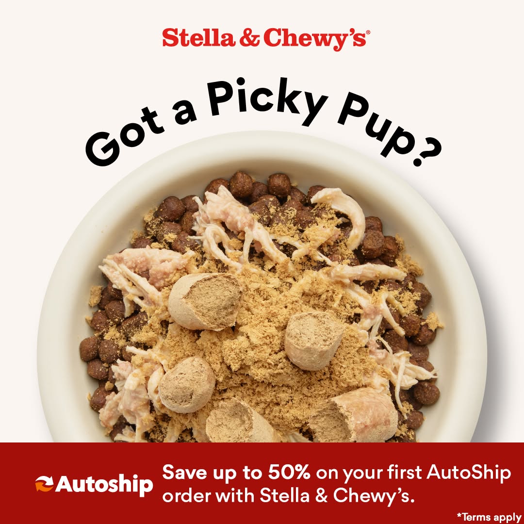 Chewy Facebook ad