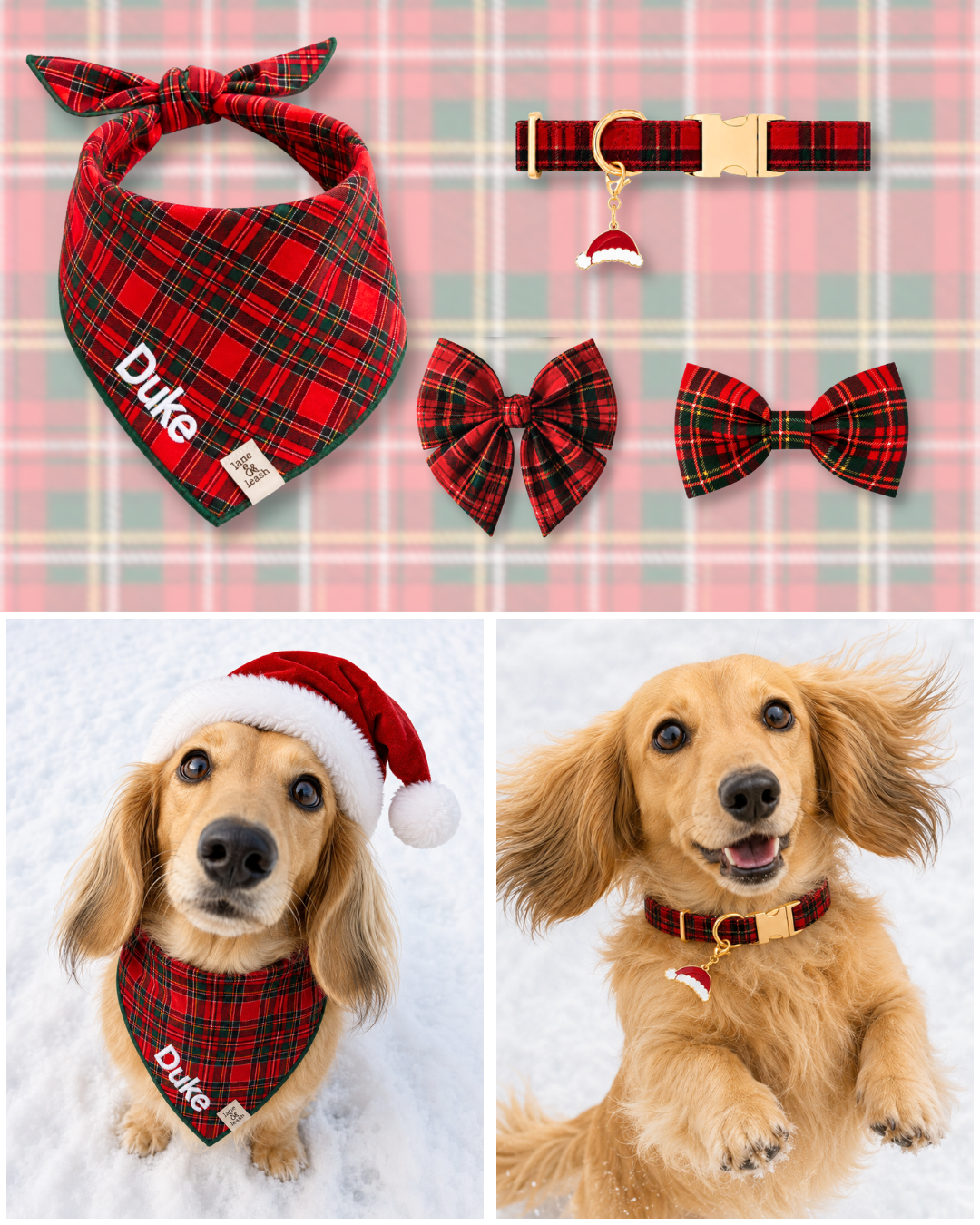 Lane&Leash Facebook ad