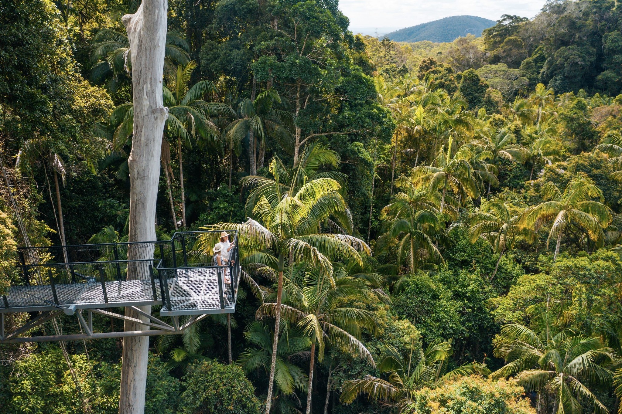 Visit Queensland, Australia Facebook ad