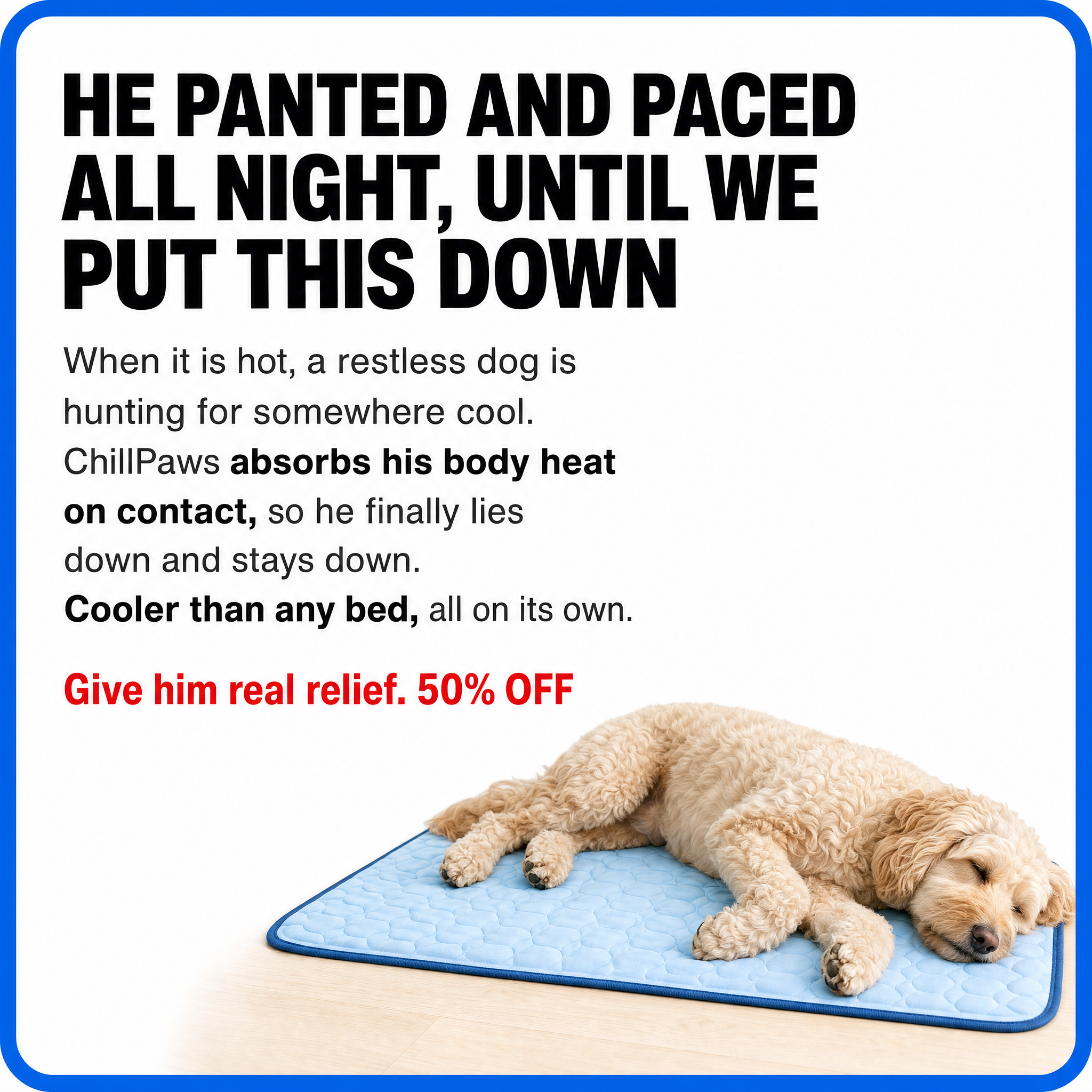 Rhykin Pet Co Facebook ad