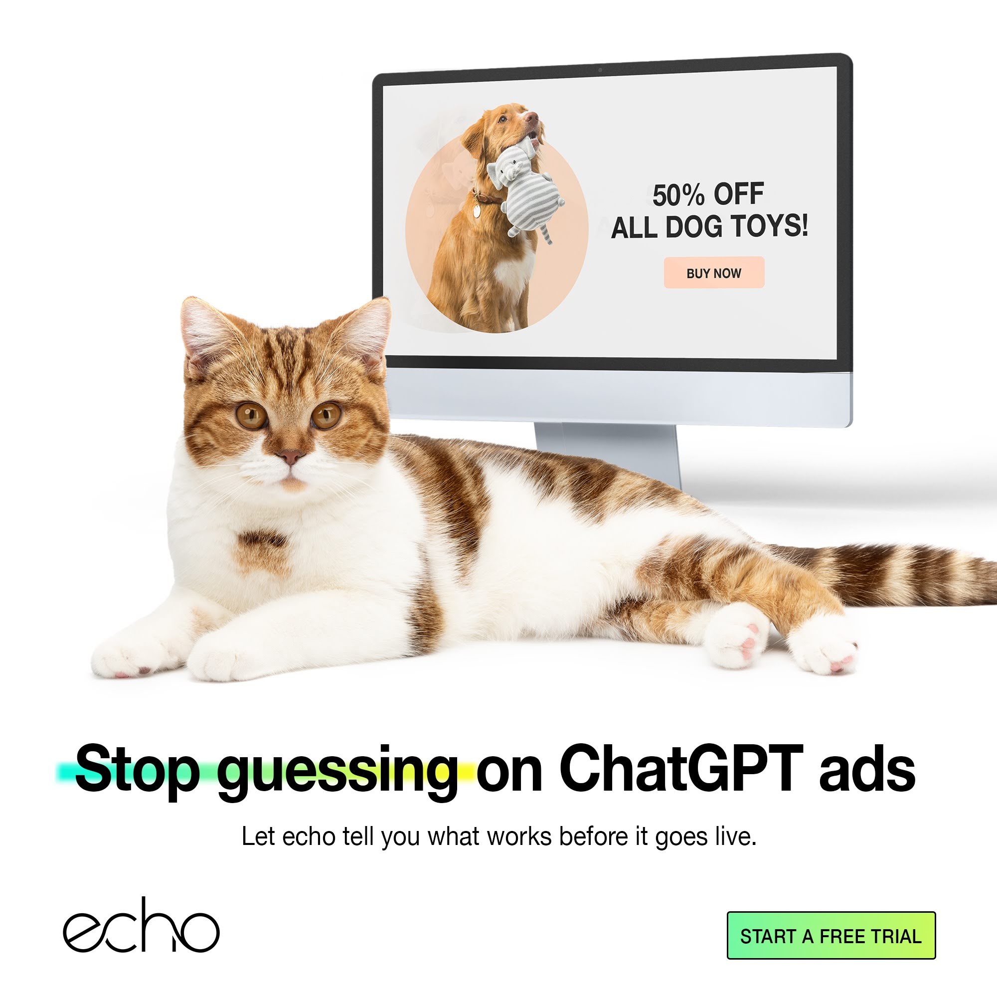 Echo LLM Facebook ad