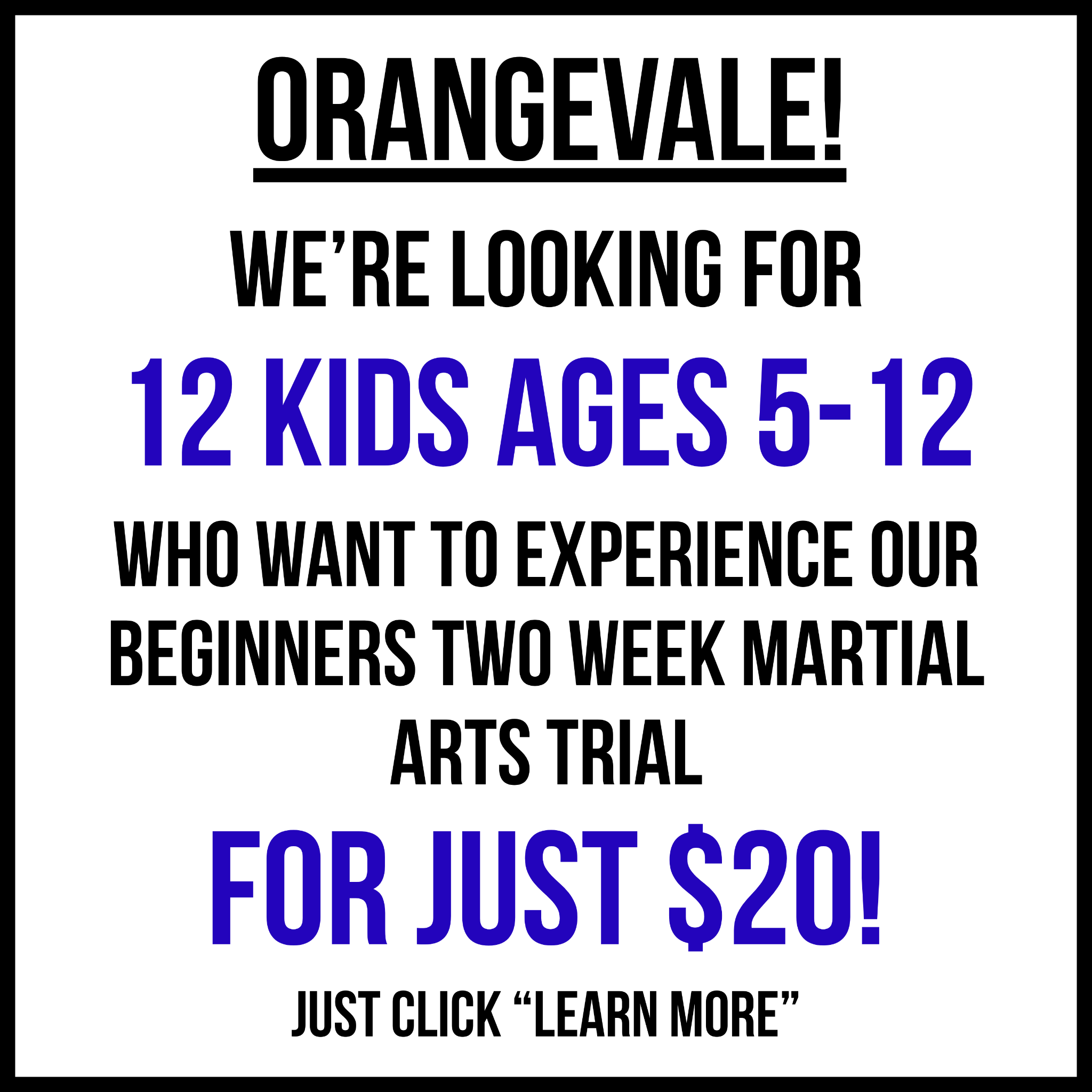 Orangevale Academy - Family Taekwondo Facebook ad