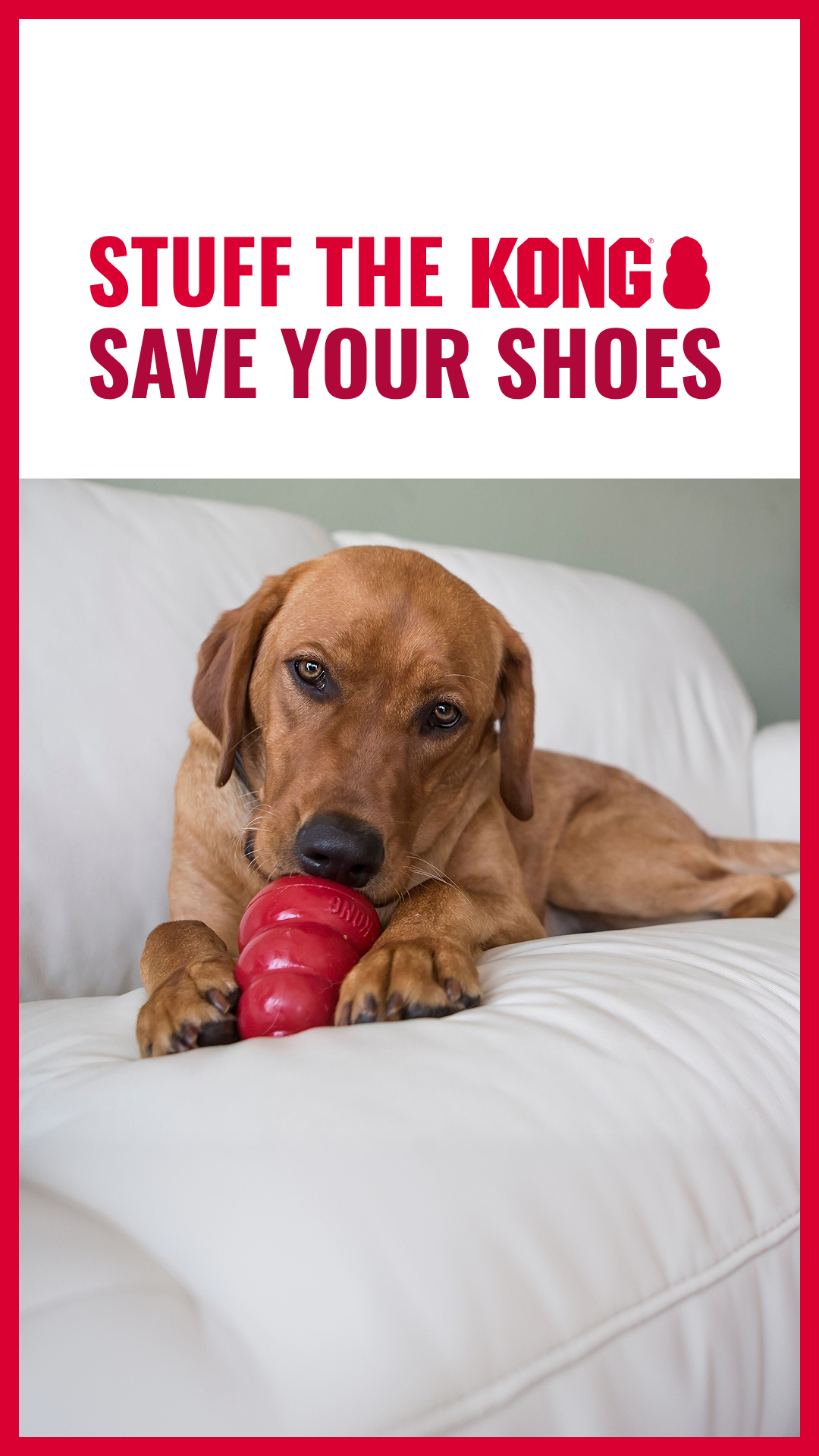 KONG Facebook ad