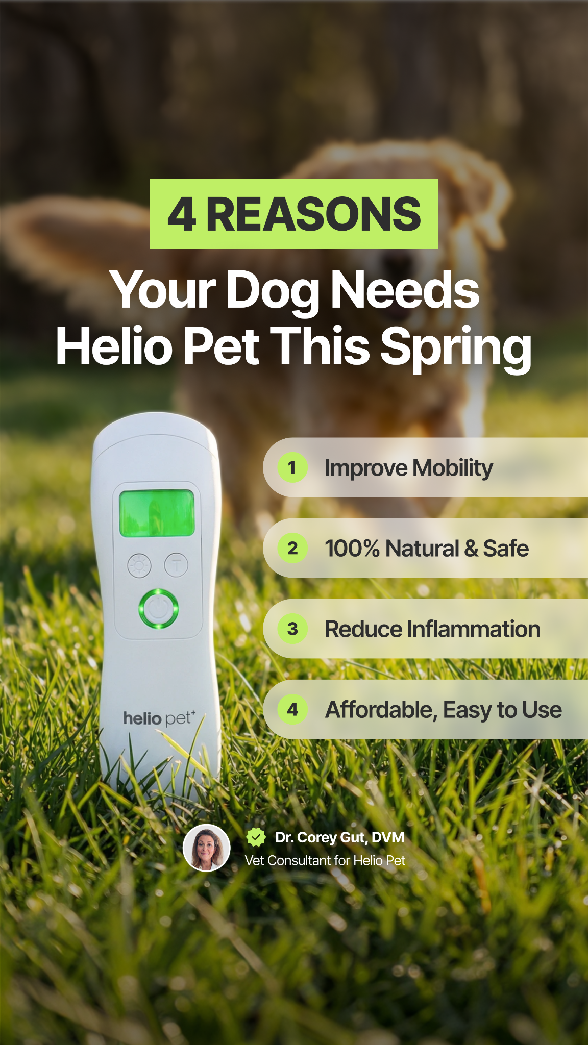 Helio Pet Facebook ad