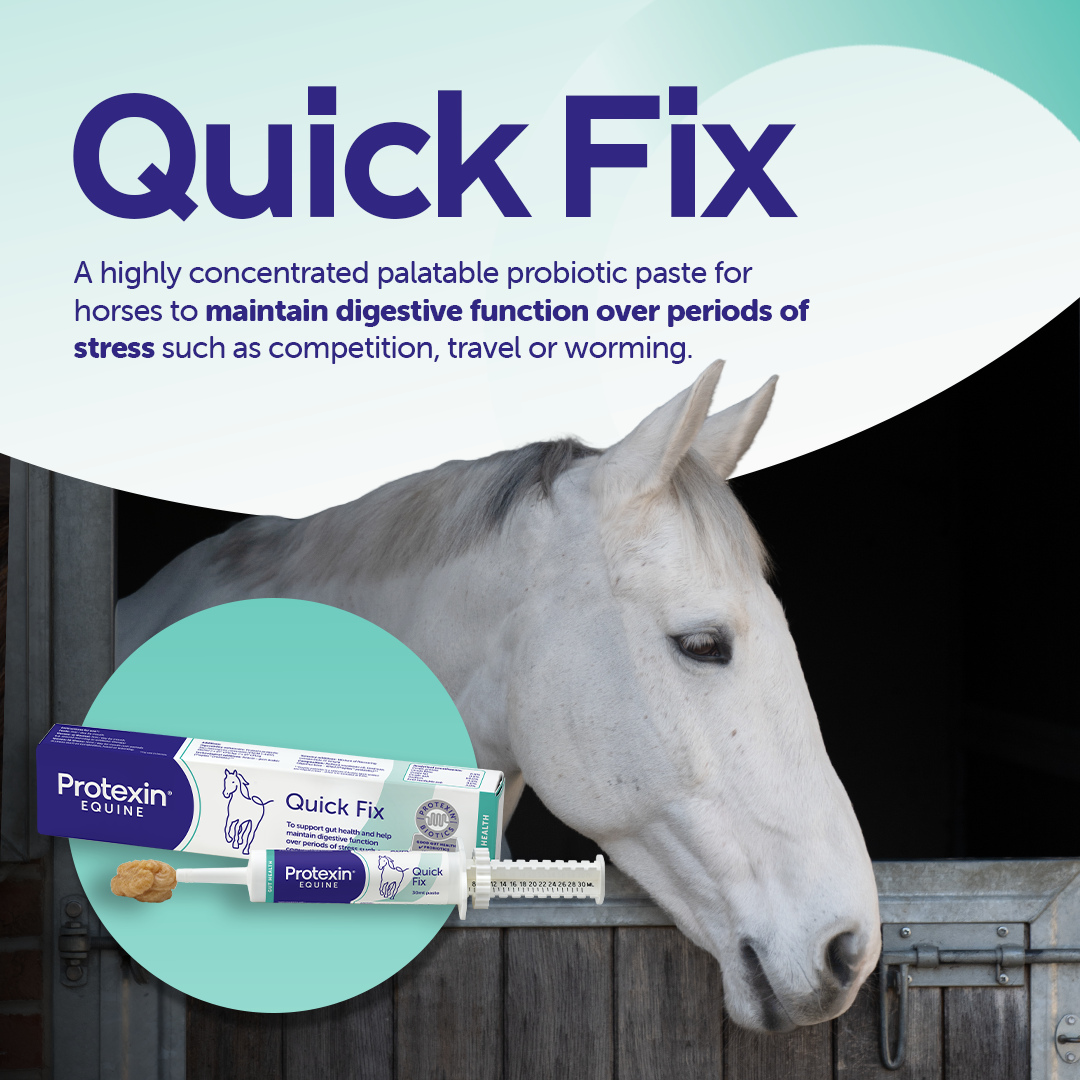 Protexin Equine Facebook ad