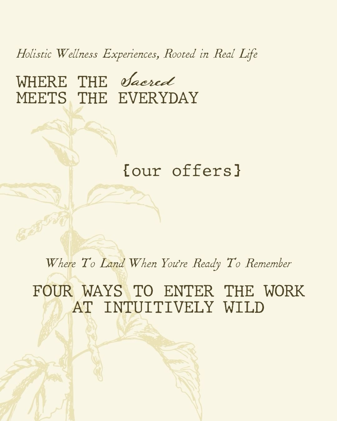 intuitivelywild Facebook ad: four ways to enter the work at intuitively…