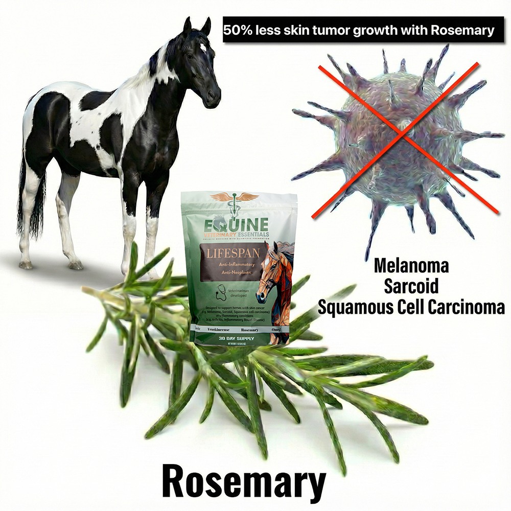 Equine Veterinary Essentials LLC Facebook ad