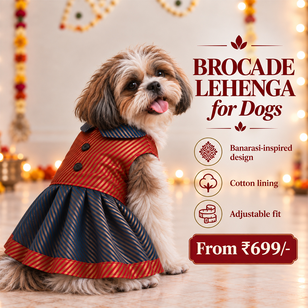 Mutt of Course Facebook ad