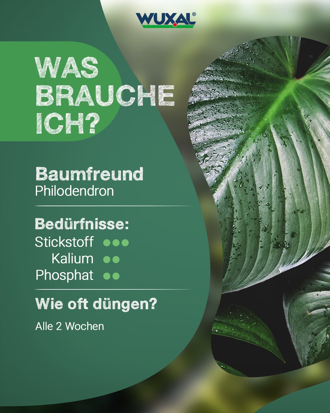 WUXAL Haus und Garten De Facebook ad