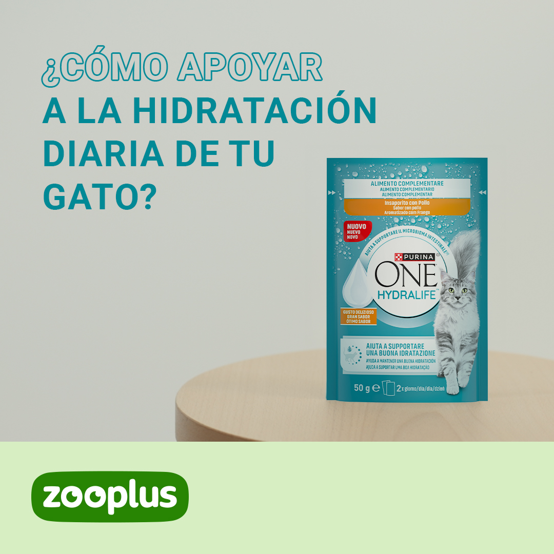 zooplus Facebook ad: Apoya la hidratación diaria de tu gato con…