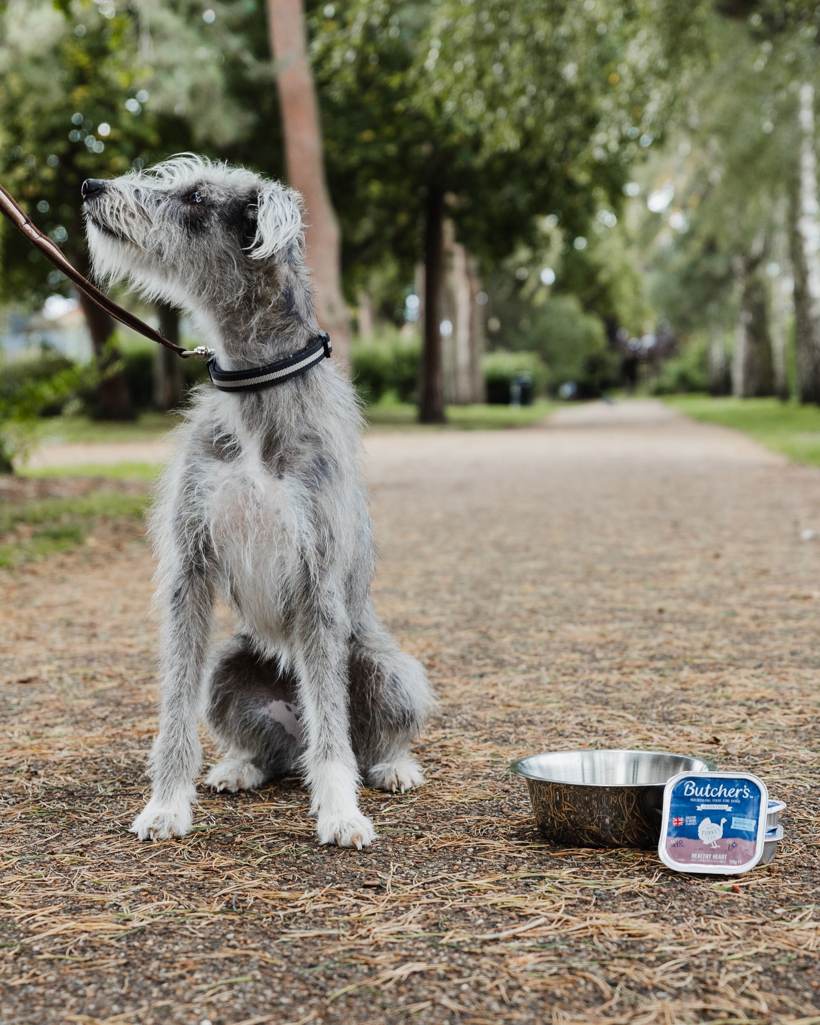 Butcher's Dog Food Facebook ad