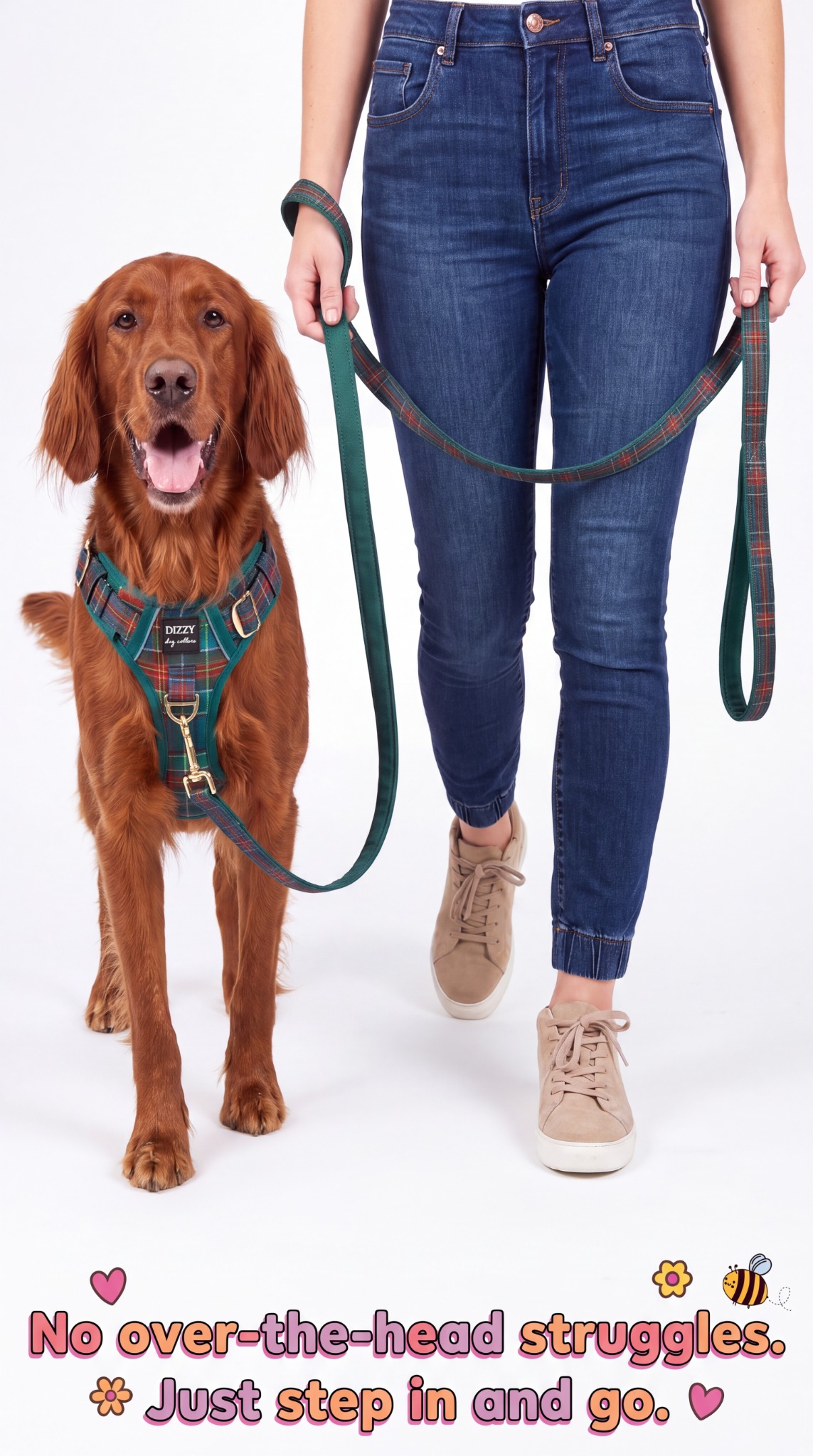 Dizzy Dog Collars Facebook ad: Walks Just Got Easier